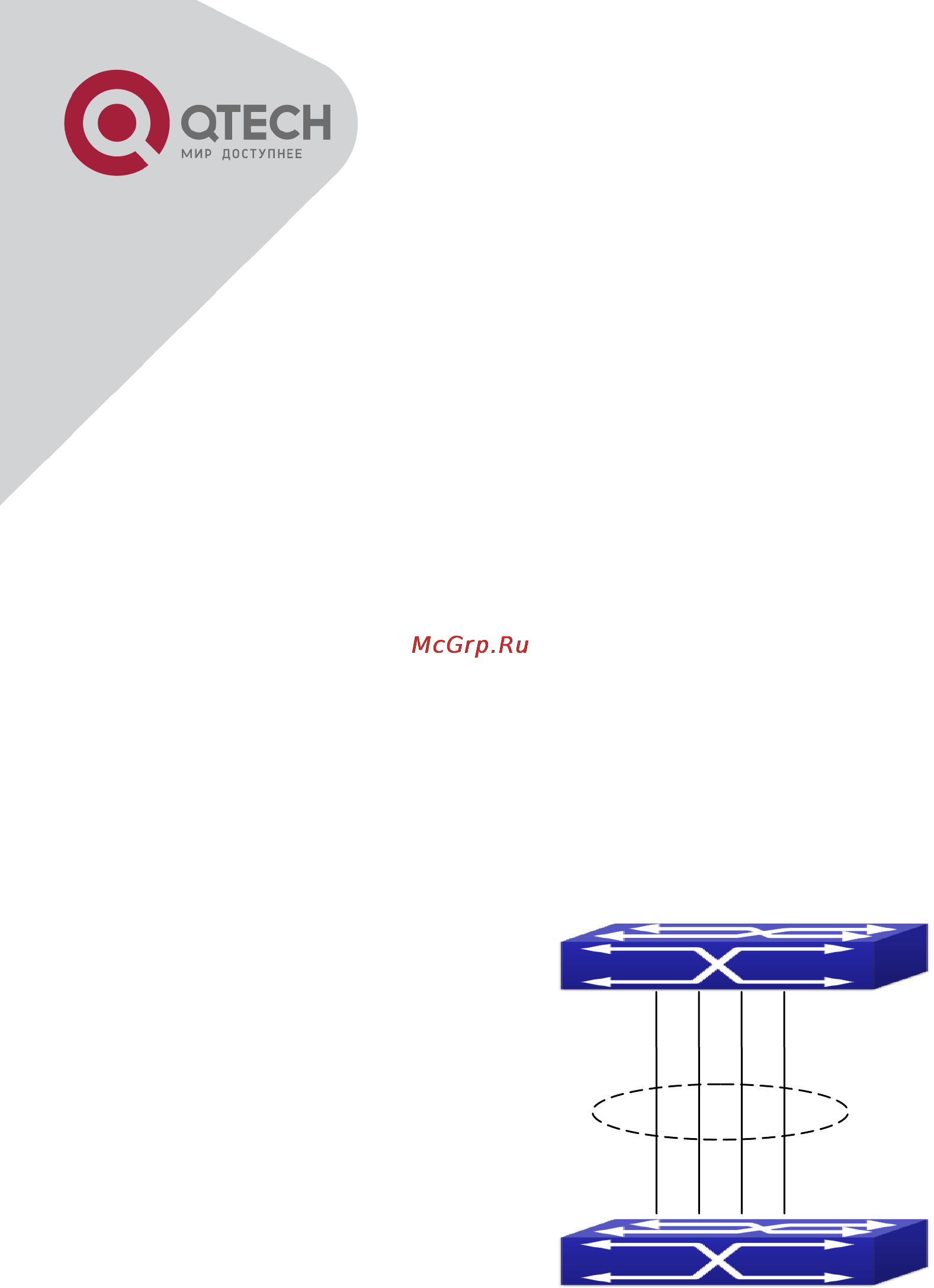 Q-Tech QSW-2800 [81/415] Chapter 9 port channel configuration
