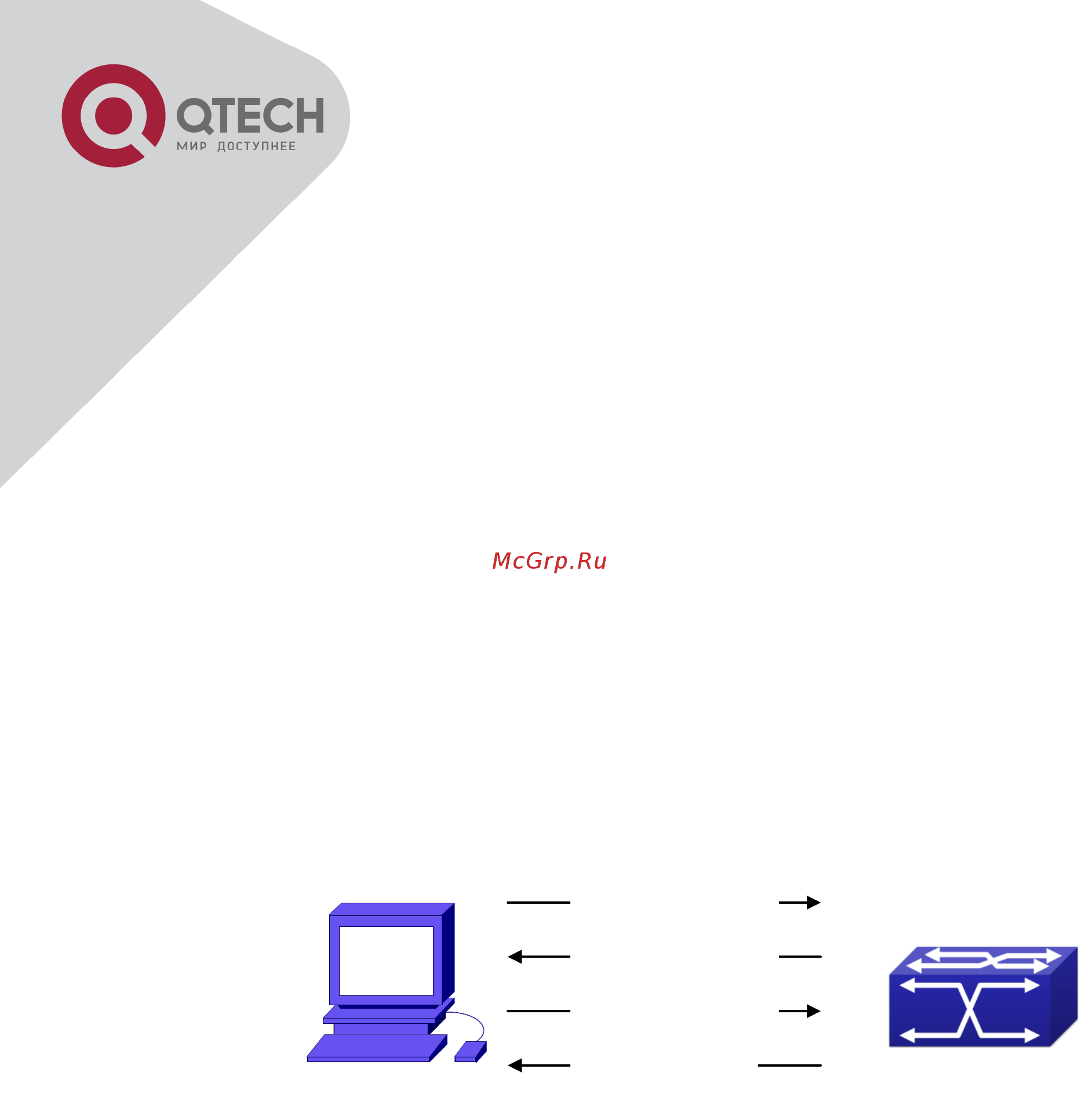 Qtech QSW-3500-28T-AC [227/259] Введение dhcpv6