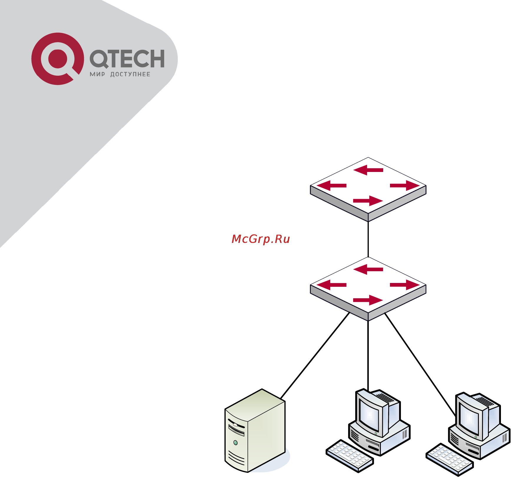 Q-Tech QSW-9800 [207/266] Типовые примеры предотвращения arp сканирования