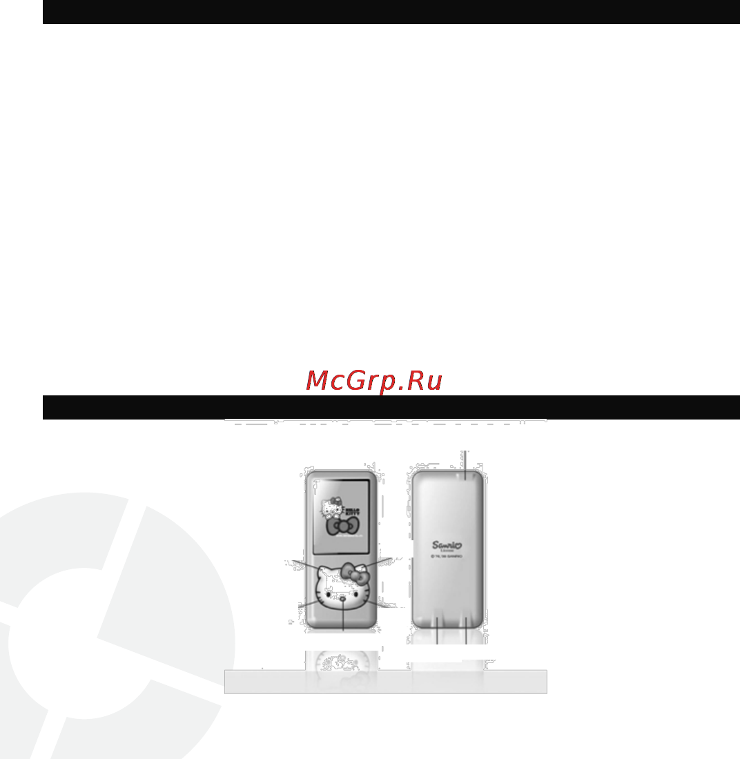 Ingo HEM080C 2Gb Hello Kitty [2/14] Внешний вид плеера