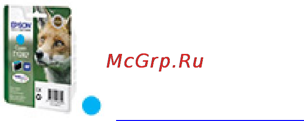 Epson C13T12824011 Инструкция по эксплуатации онлайн