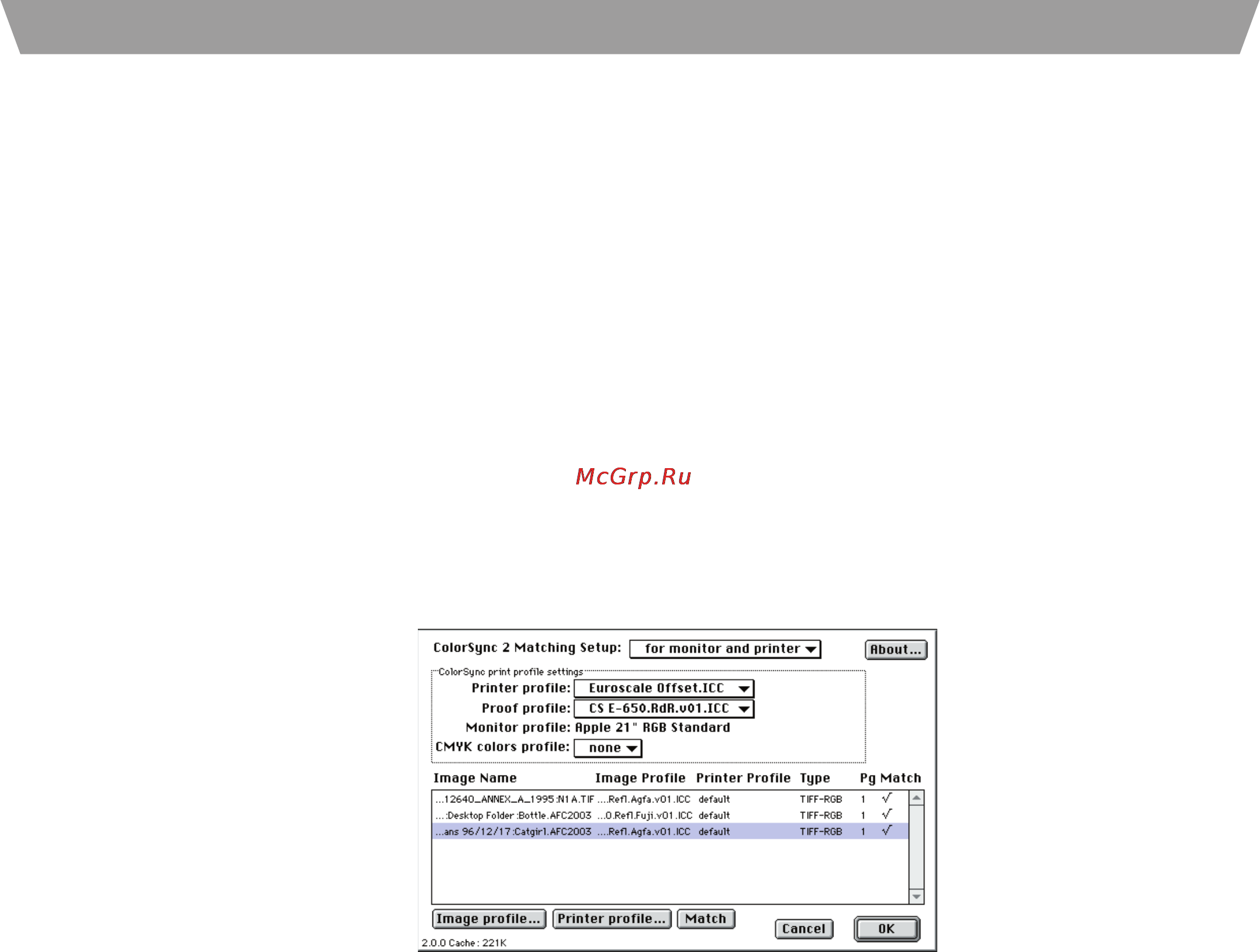 Ricoh AP 206 [56/77] Printing guideline for ricoh color products 2 1