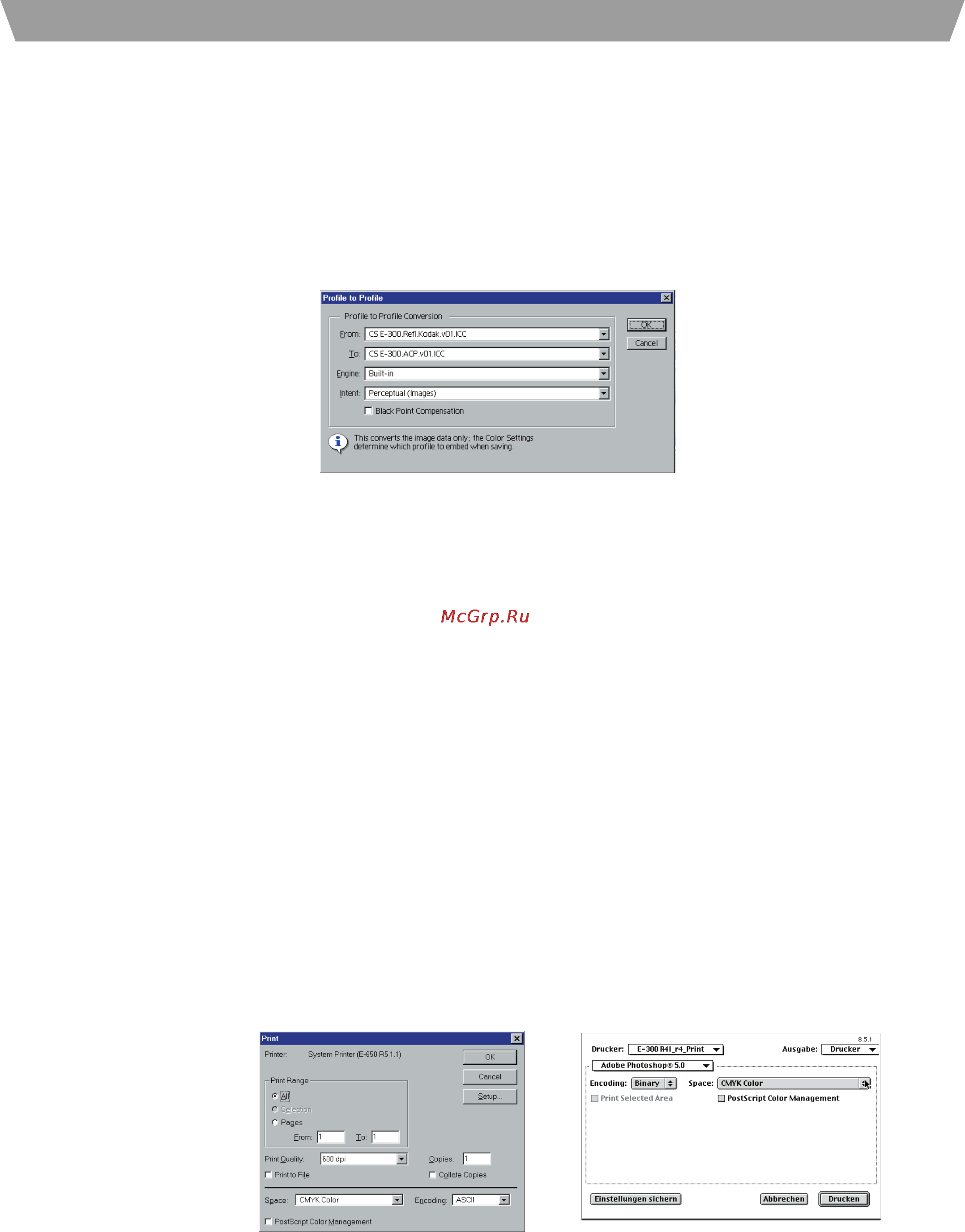 Ricoh AP 505 [21/77] Printing guideline for ricoh color products 2 1