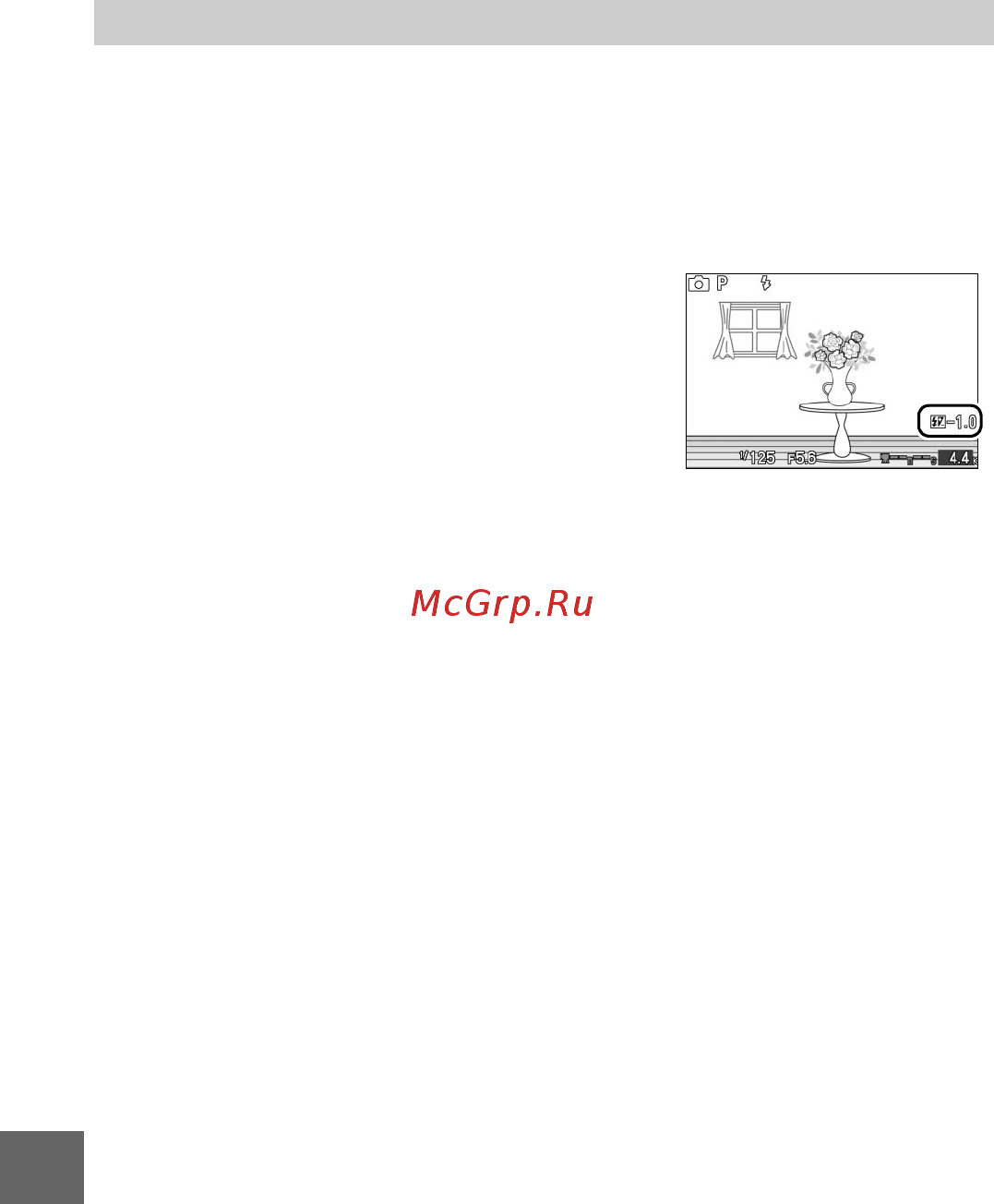Nikon 1 J1+10-30 VR Kit White [167/218] Коррекция вспышки