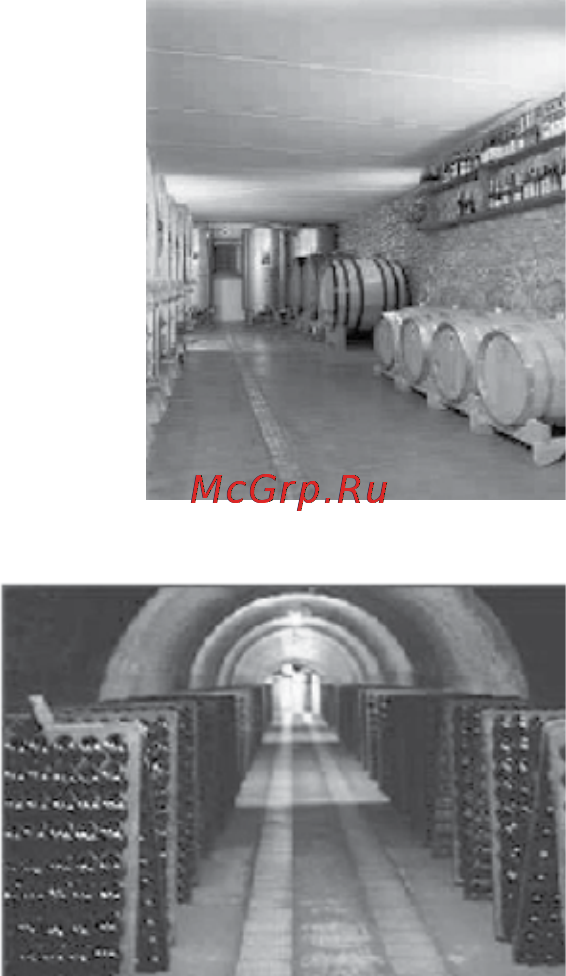 Bauknecht WLE 101 [4/8] Некоторые сведения о винах