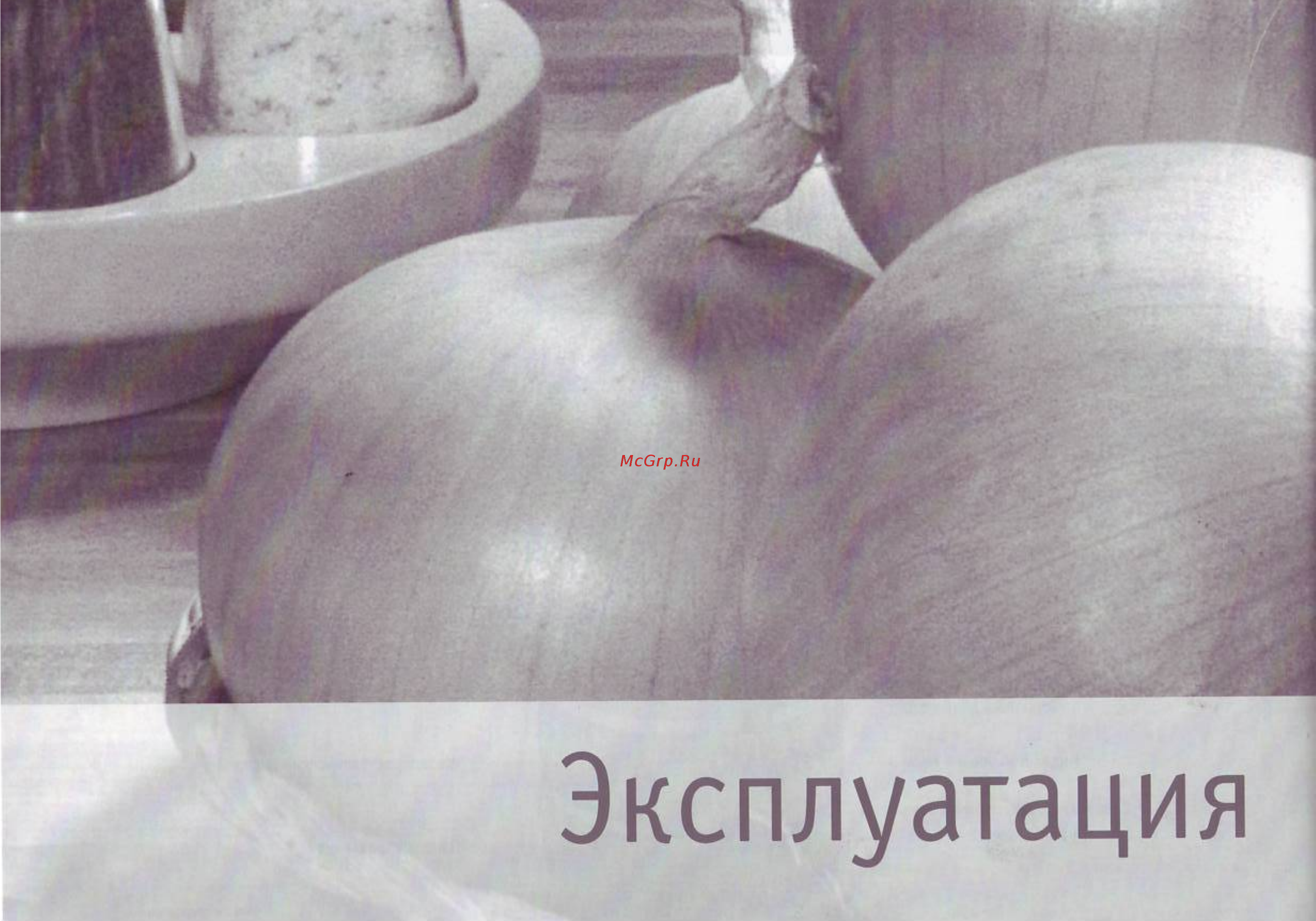 Bork FS ECP 98100 Инструкция по эксплуатации онлайн [10/20] 61511