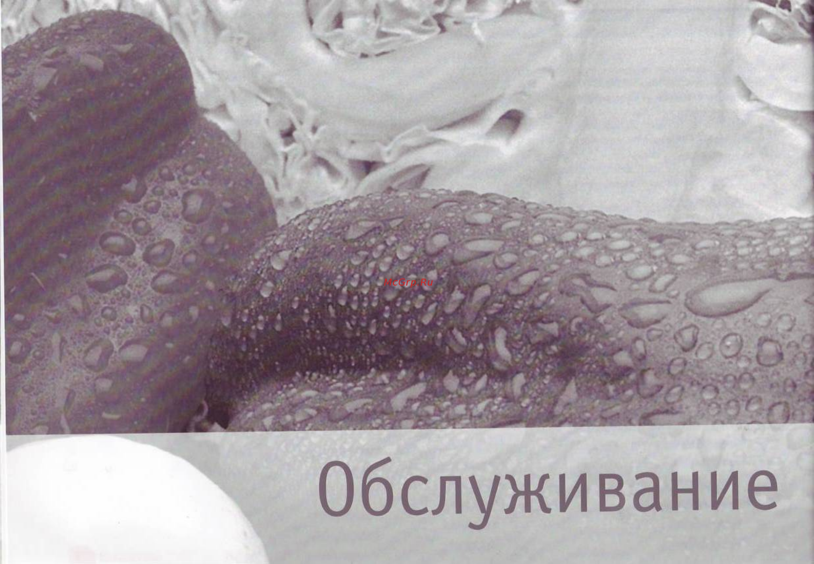 Bork FS ECP 98100 Инструкция по эксплуатации онлайн [14/20] 61511