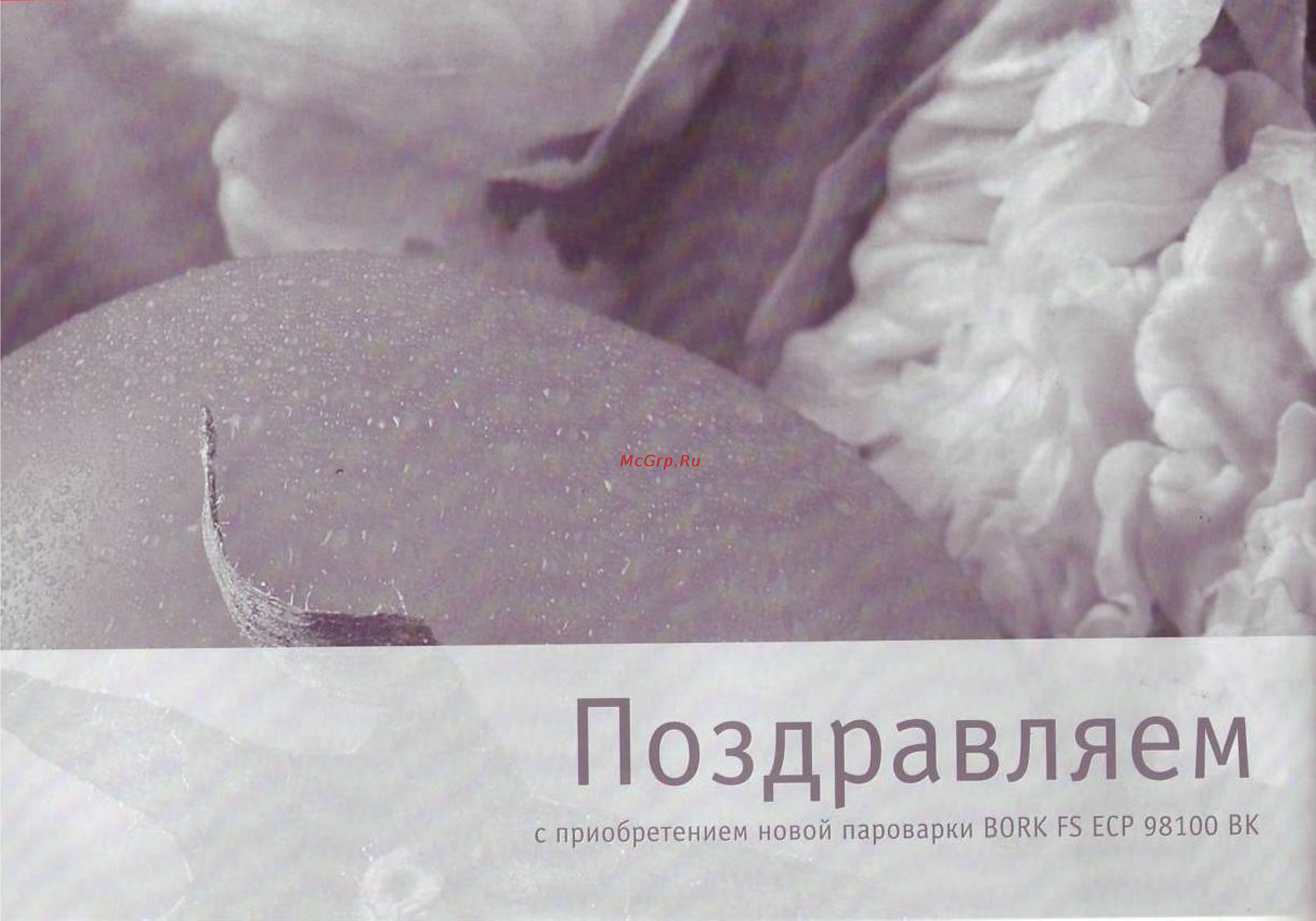 Bork FS ECP 98100 Инструкция по эксплуатации онлайн [4/20] 61511
