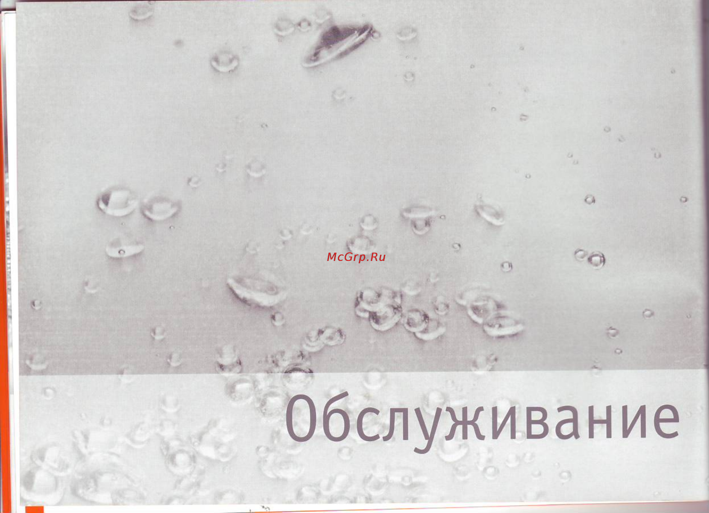 Bork CG MGN 9227 SI Инструкция по эксплуатации онлайн [10/13] 61880