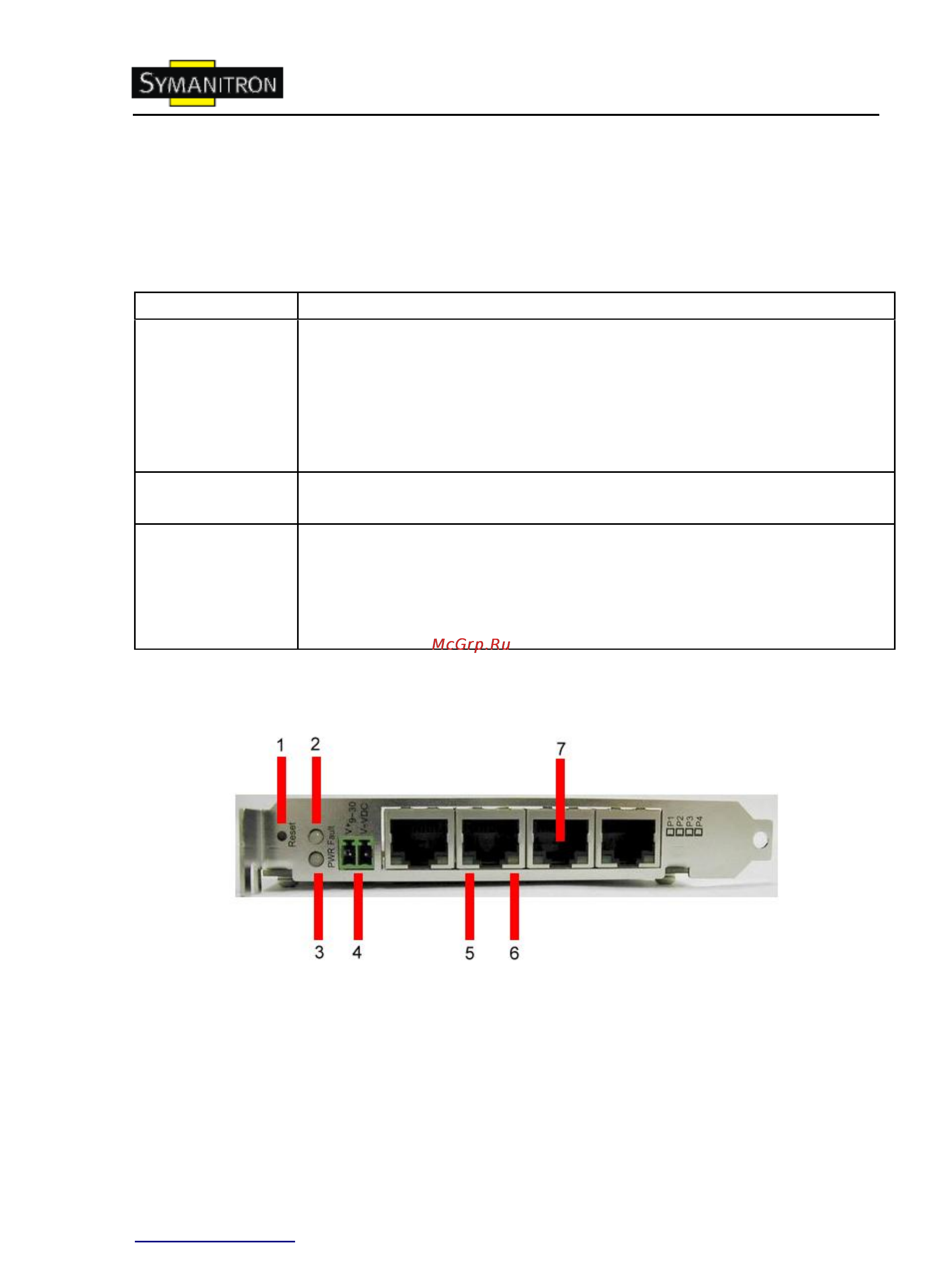 Symanitron SWMG-84GC-GSFP [4/33] Обзор устройства