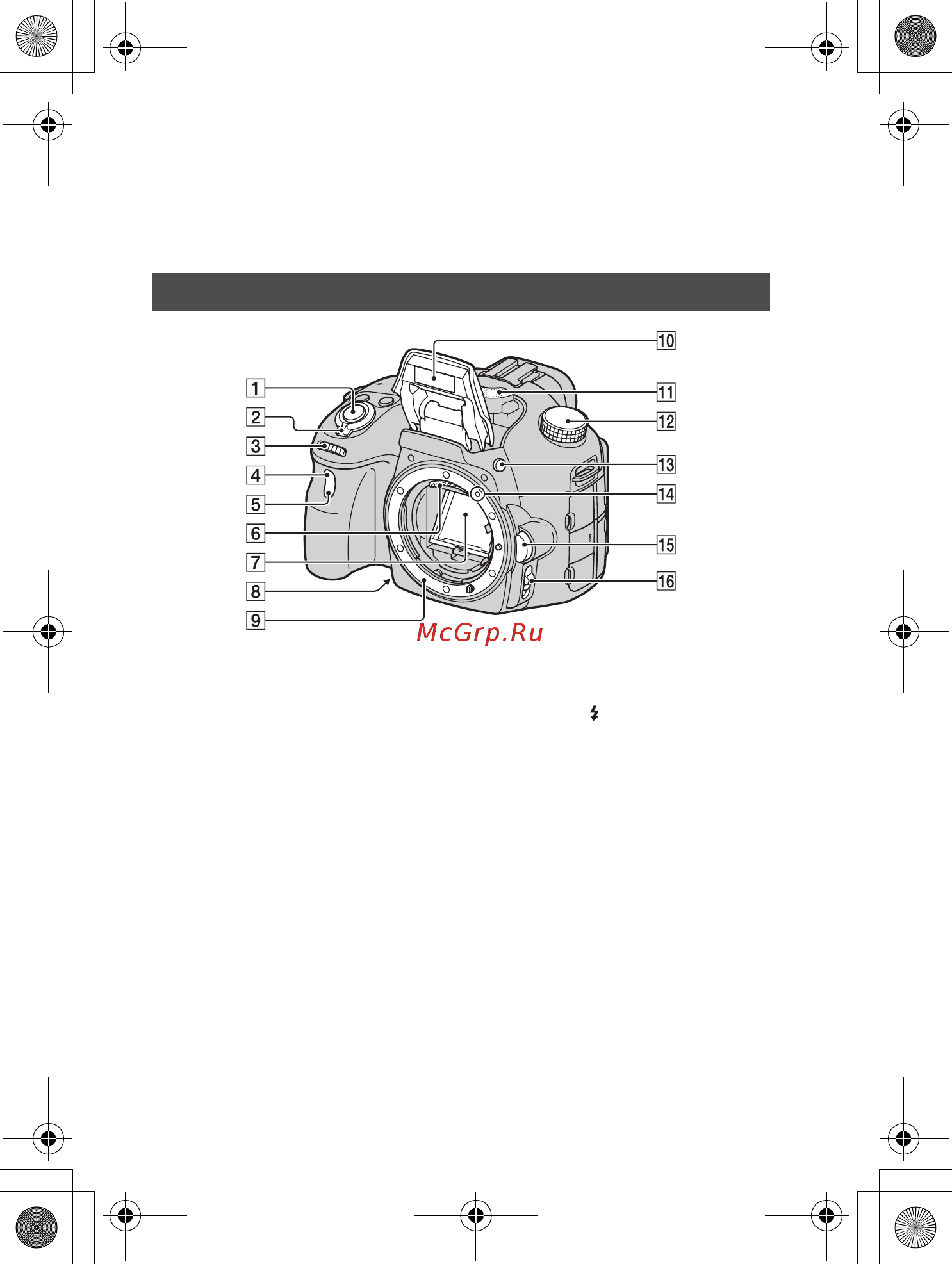 Sony SLT-A57 [12/99] Элементы фотоаппарата