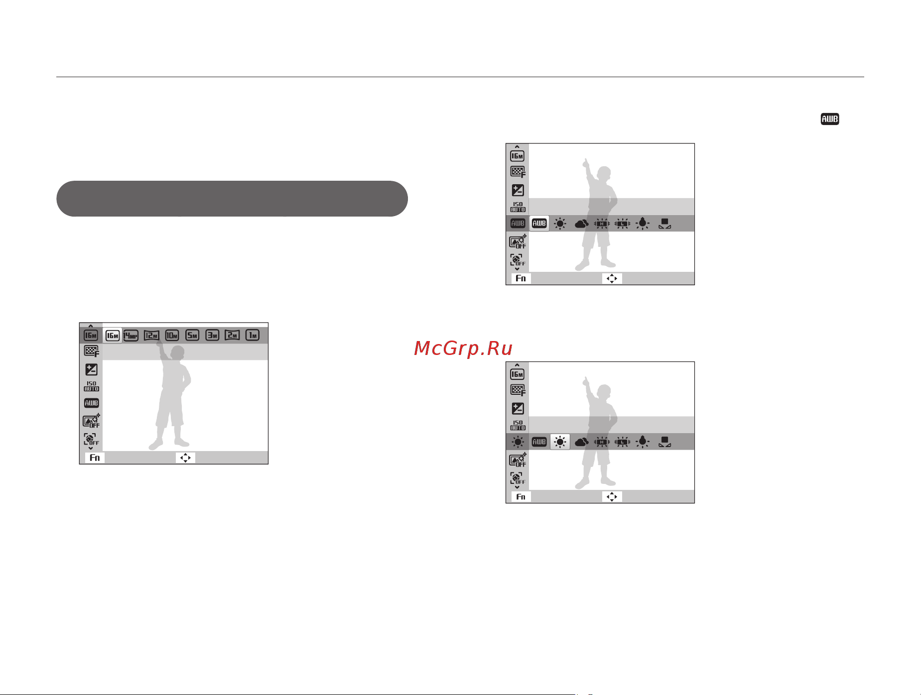 Samsung ST89 White+сумка [25/131] Кнопка fn