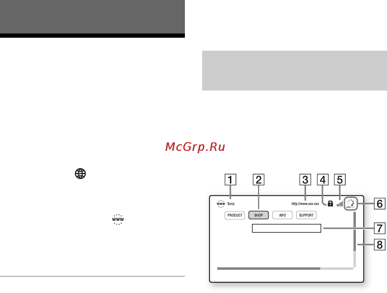 Sony SMP-N200/BM [20/36] Просмотр веб сайтов