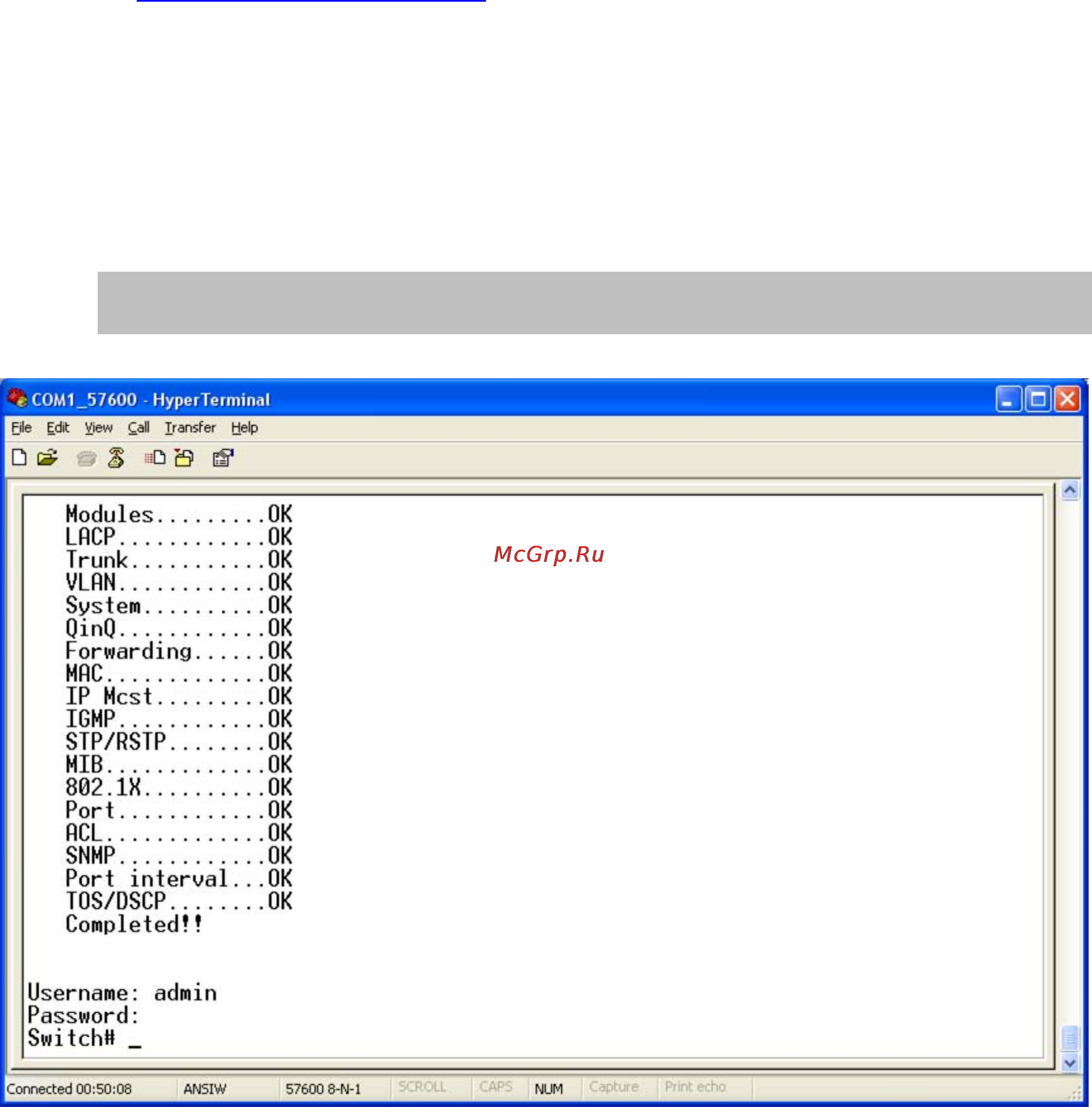Planet FGSD-1022 [133/197] Login in the console interface
