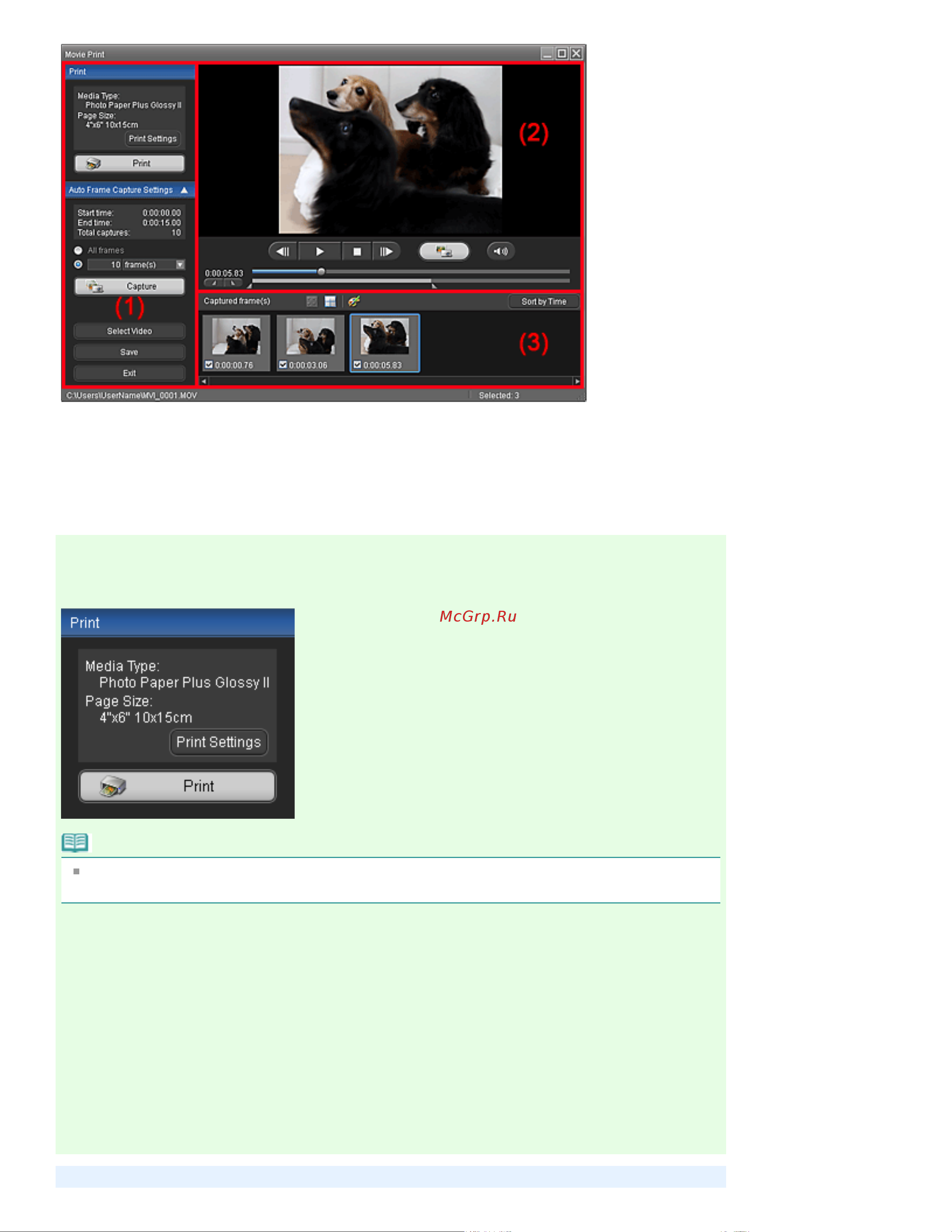 Canon Pixma MP280 [192/751] Стр 192 из 751 стр окно захват видеокадра video frame capture печать кадра фильма movi
