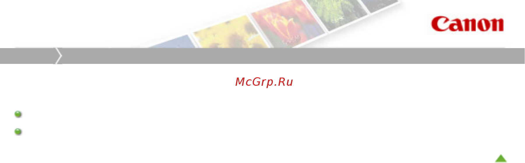 Canon Pixma MG4140 [347/1021] Сканирование
