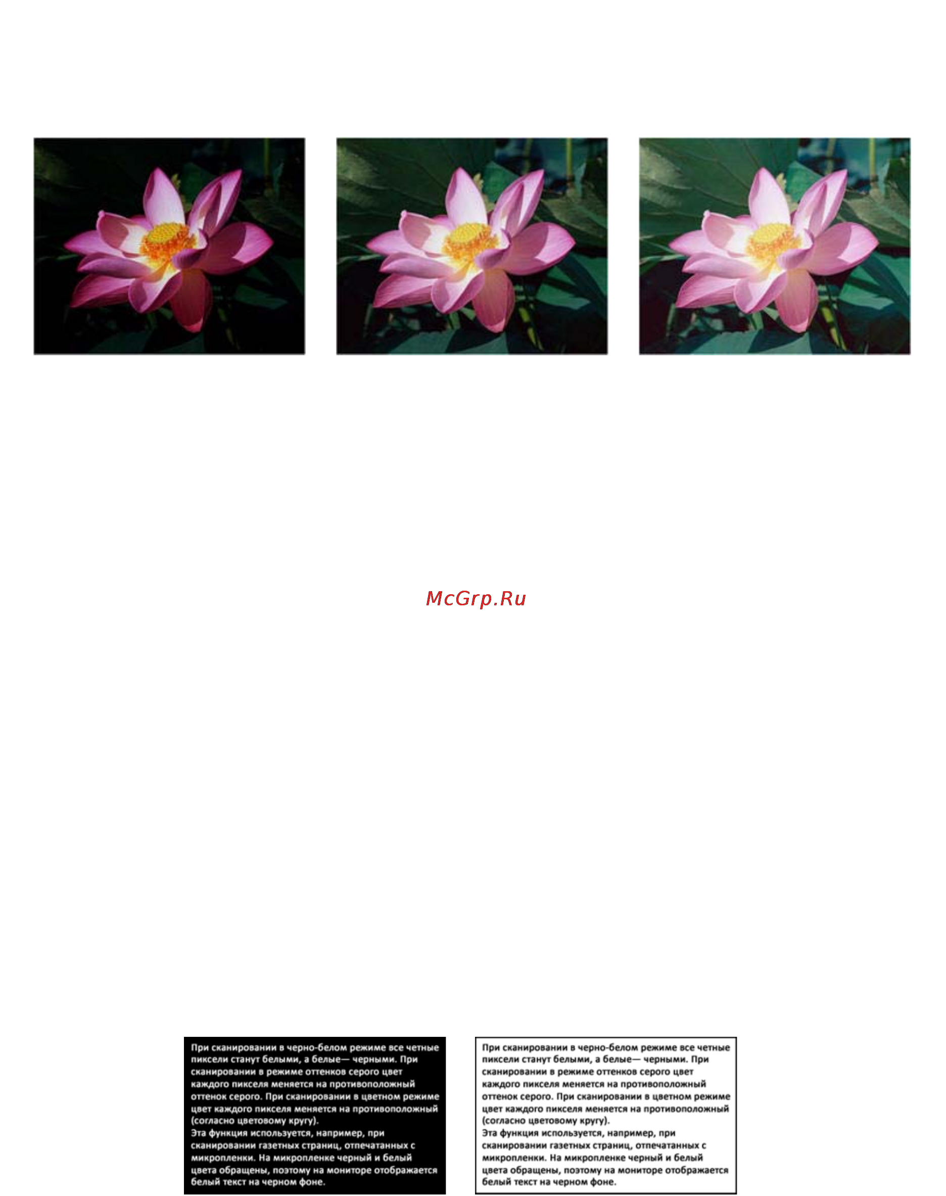 Xerox 7600i [161/194] Обратить цвета