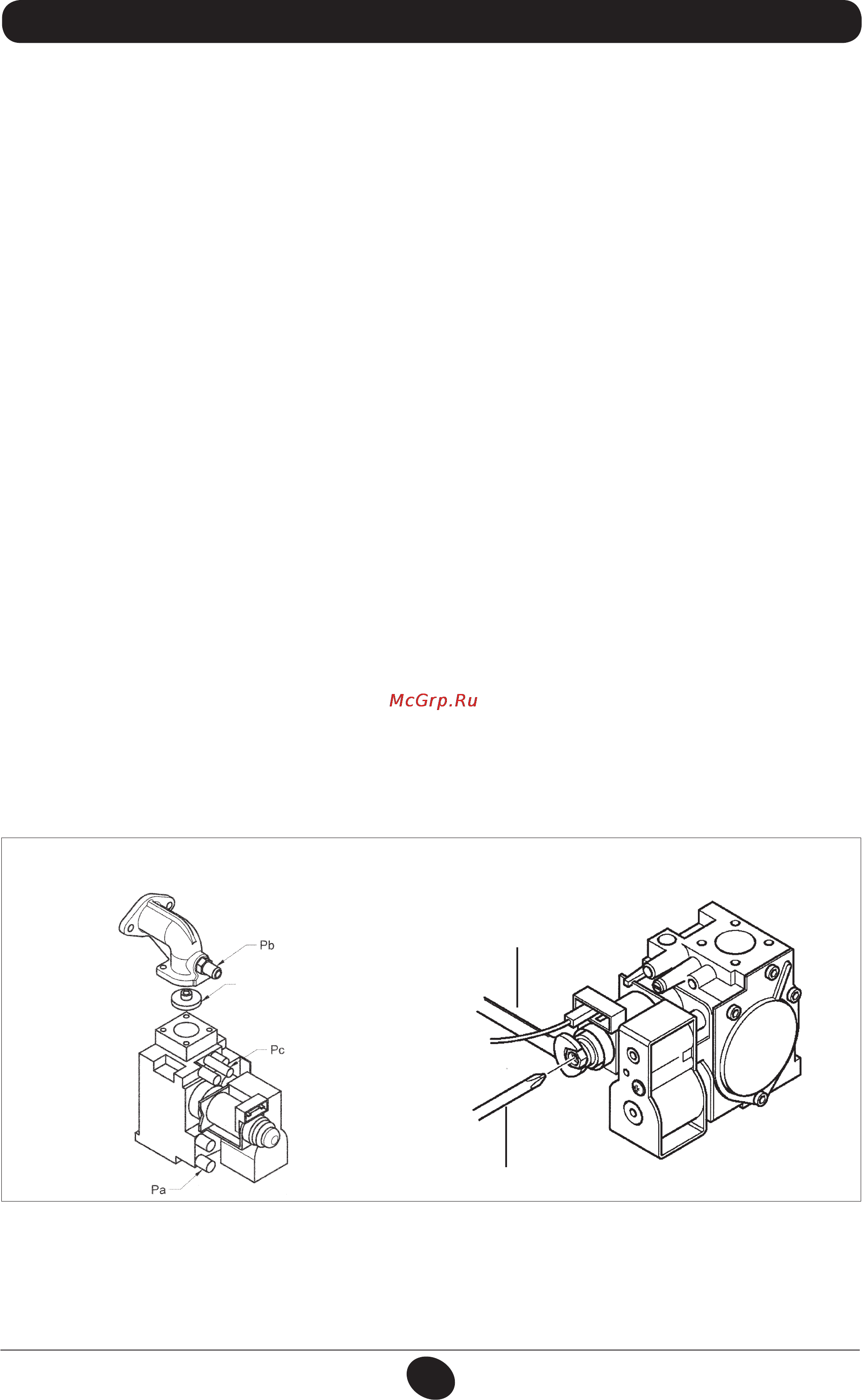 De Dietrich MS 24 MI [82/332] Gas conversion