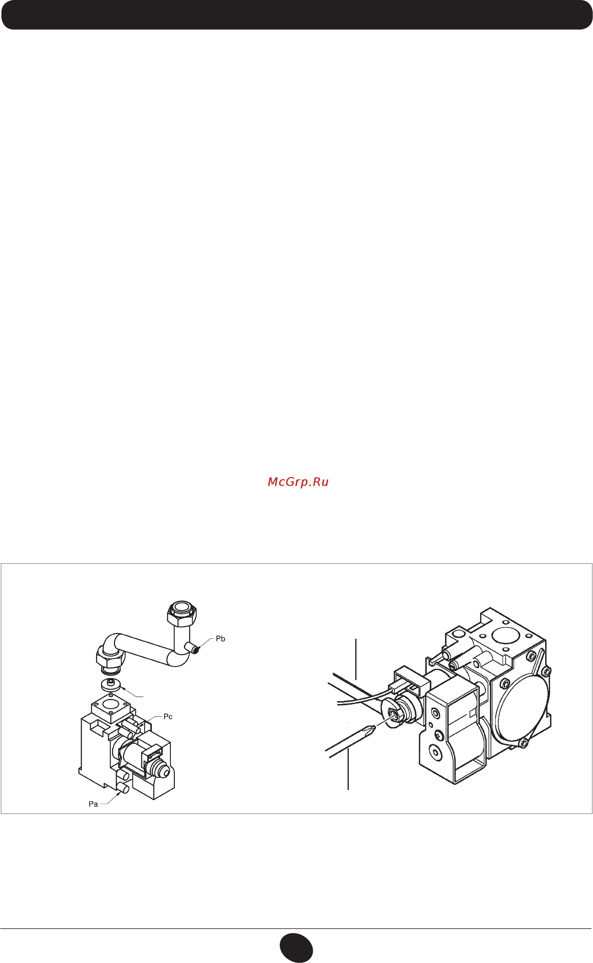 De Dietrich MS 24 BIC [189/292] Modalităţi de schimbare a tipului de gaz