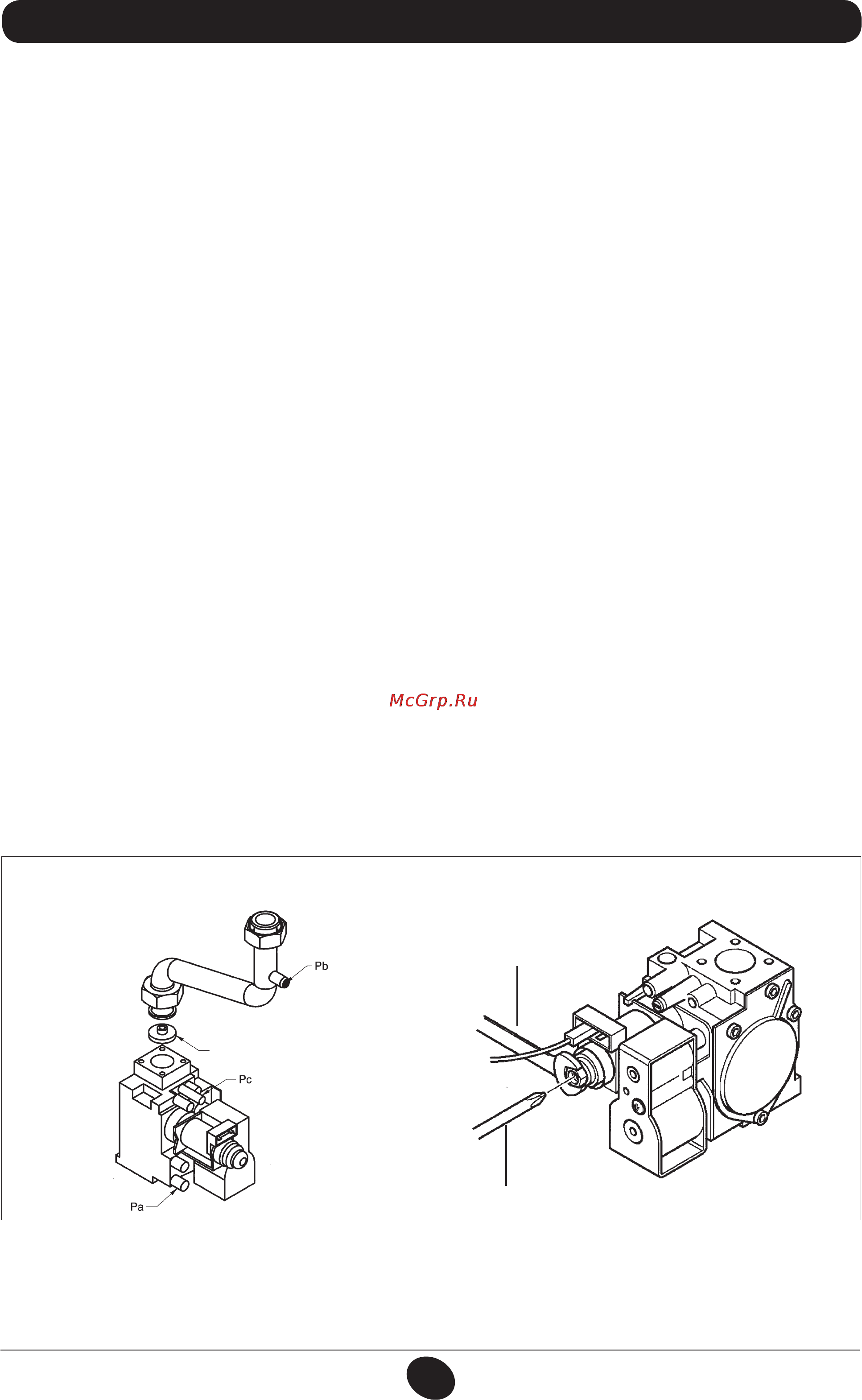De Dietrich MS 24 BIC [73/292] Gas conversion