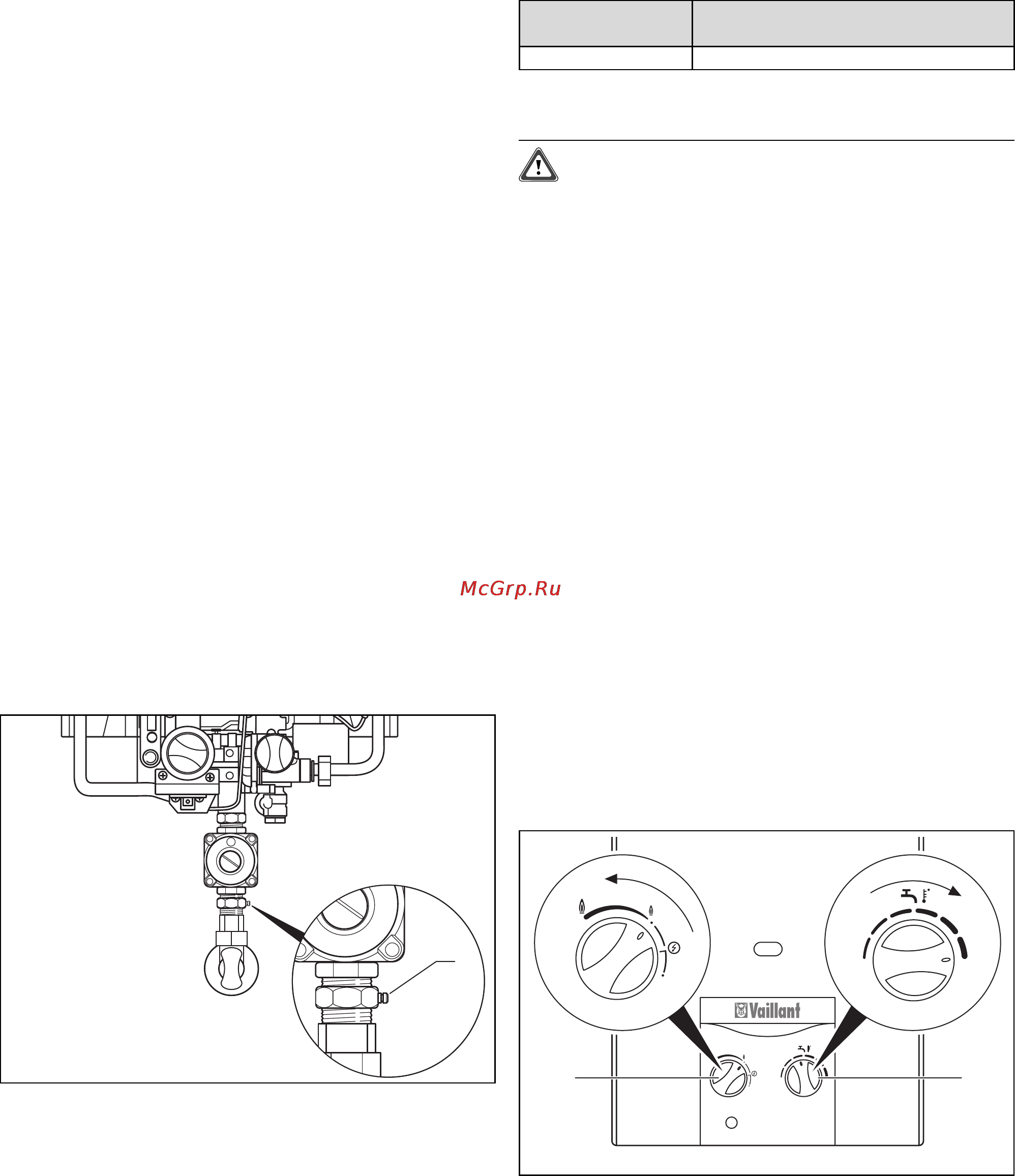 Vaillant ATMOMAG EXCLUSIV RXZ [20/28] Ввод в эксплуатацию