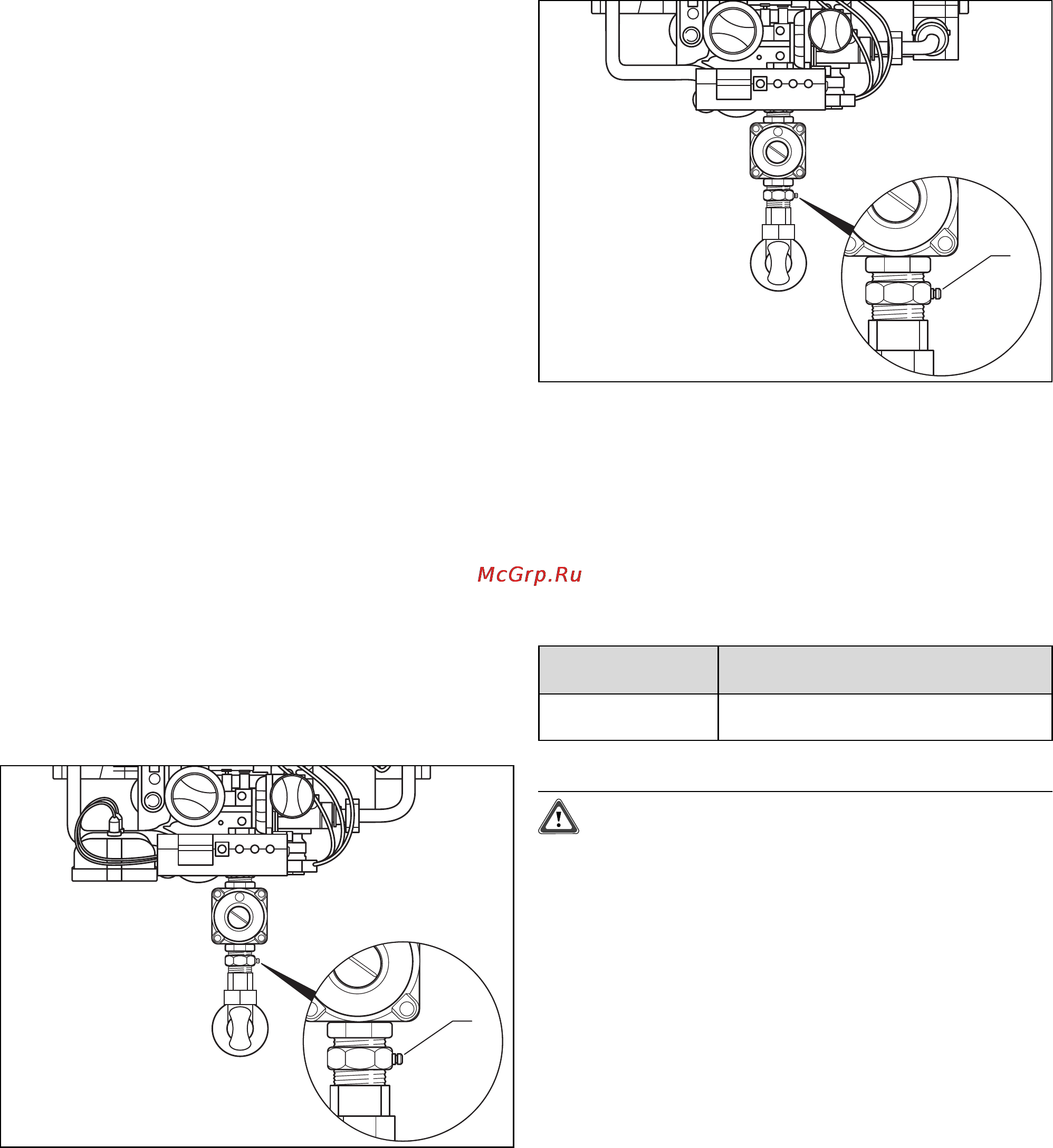Vaillant ATMOMAG EXCLUSIV GRX [26/36] Ввод в эксплуатацию