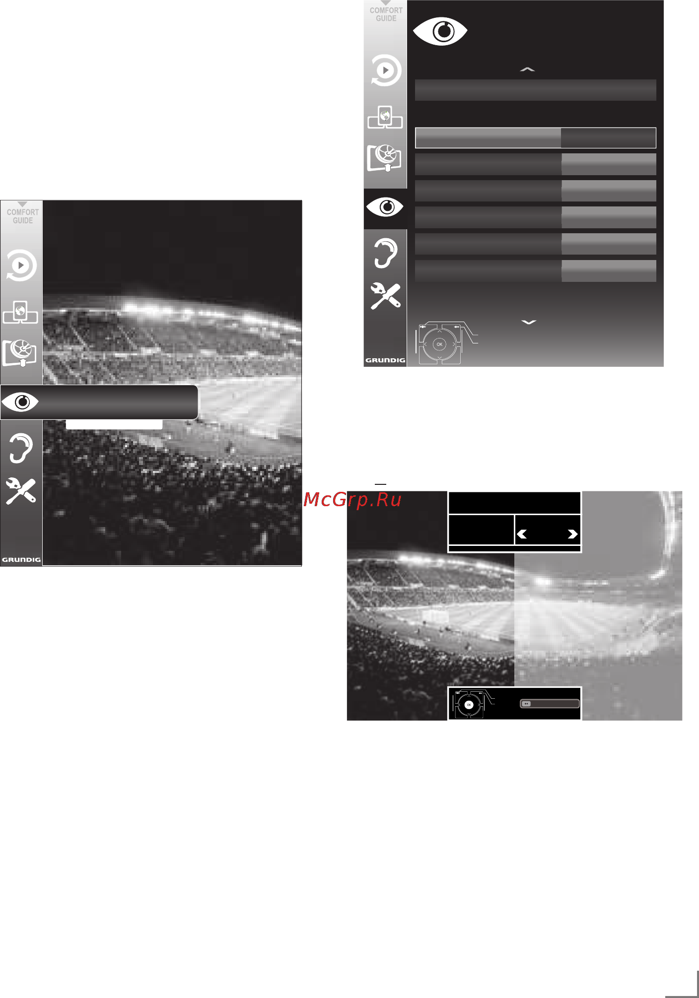 Grundig 47 VLE 9474 WL [8/27] Overvie