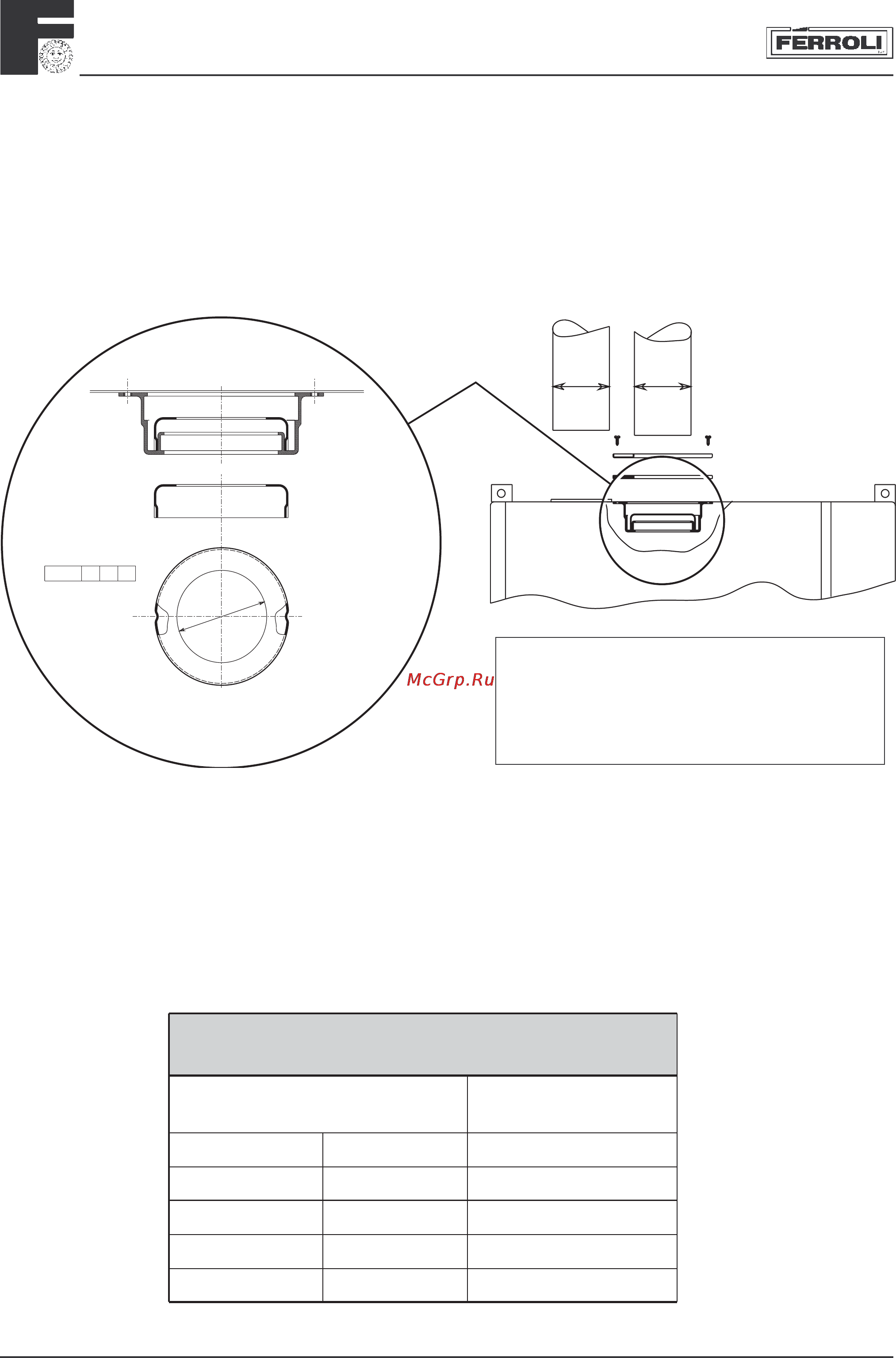 Ferroli DOMITOP F24 [13/31] 0м1т0р р 24 е
