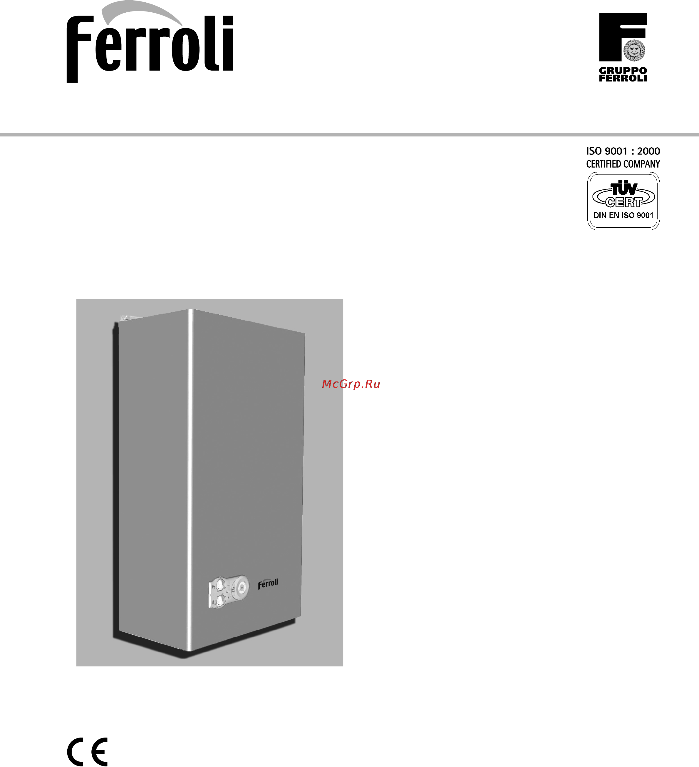 Ferroli DOMIPROJECT F24 Инструкция по эксплуатации онлайн