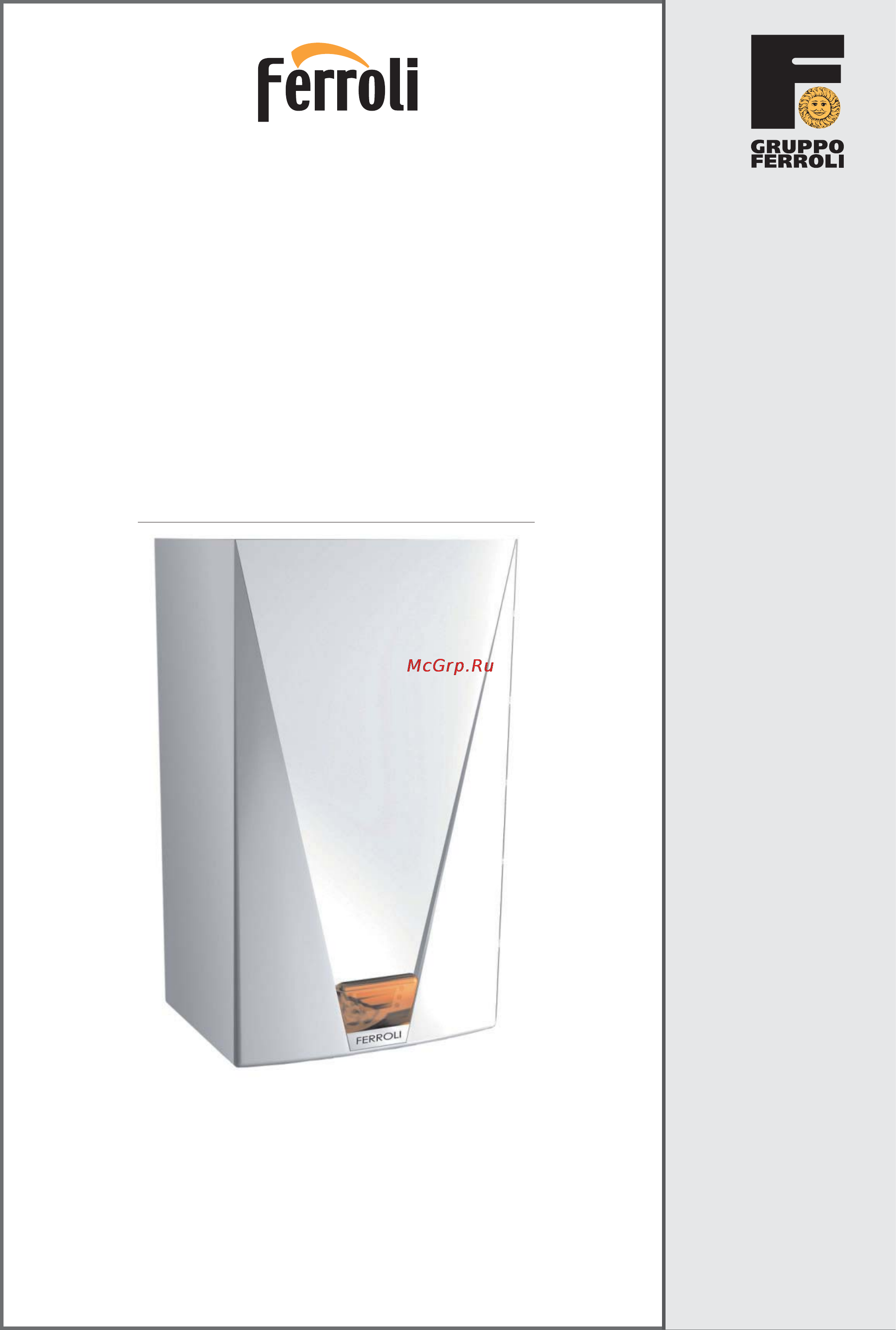 Ferroli NEW ELITE F24 Инструкция по эксплуатации онлайн