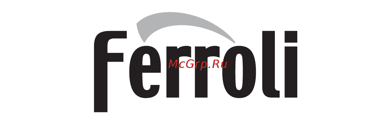 Ferroli NEW ELITE 60 C24 [31/31] Ferroli