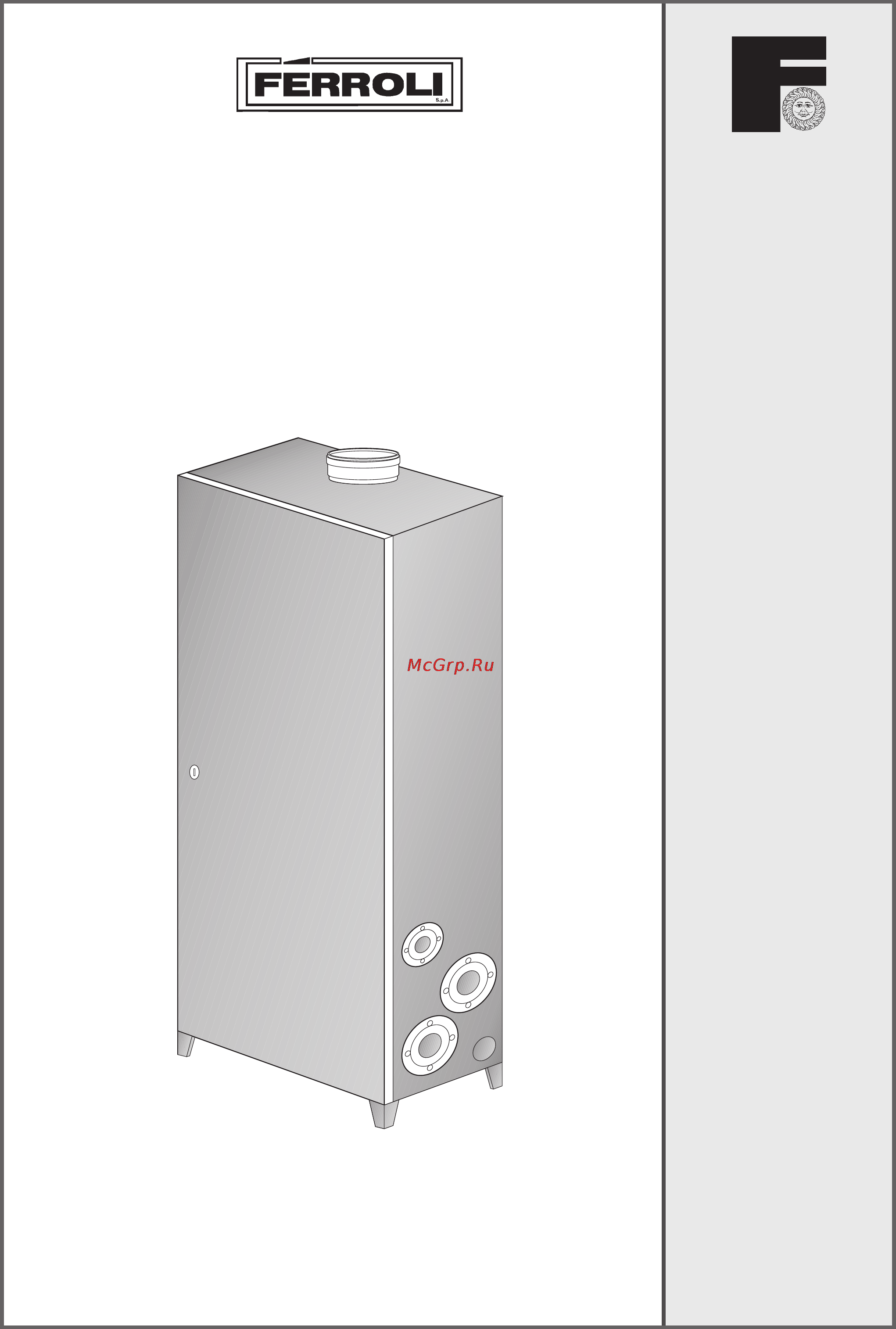 Ferroli ECONCEPT 100 Инструкция по эксплуатации онлайн
