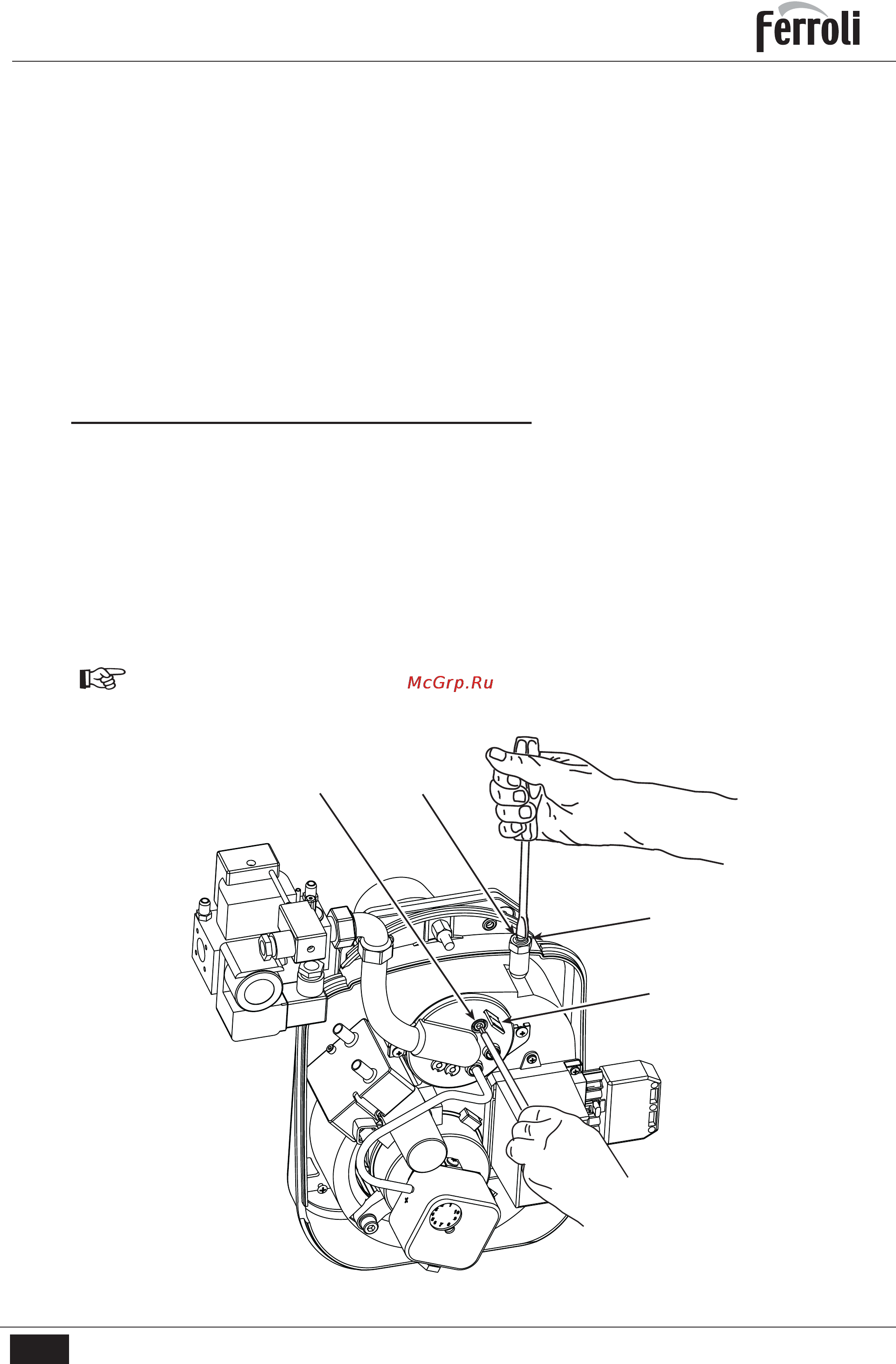 Ferroli SUN M 3-6 [10/27] Sun m3 m6