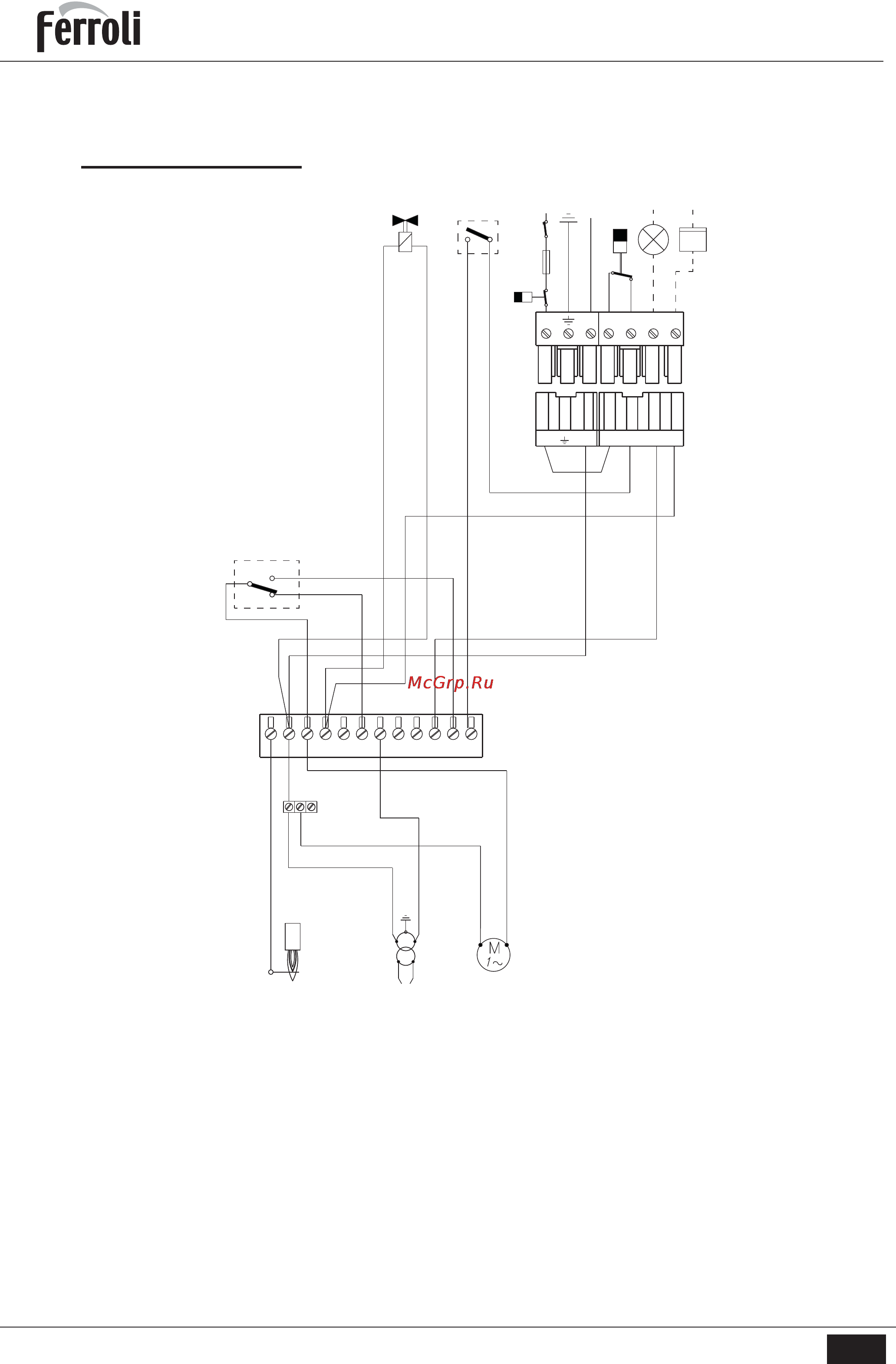Ferroli SUN M 10 [22/26] Геггон