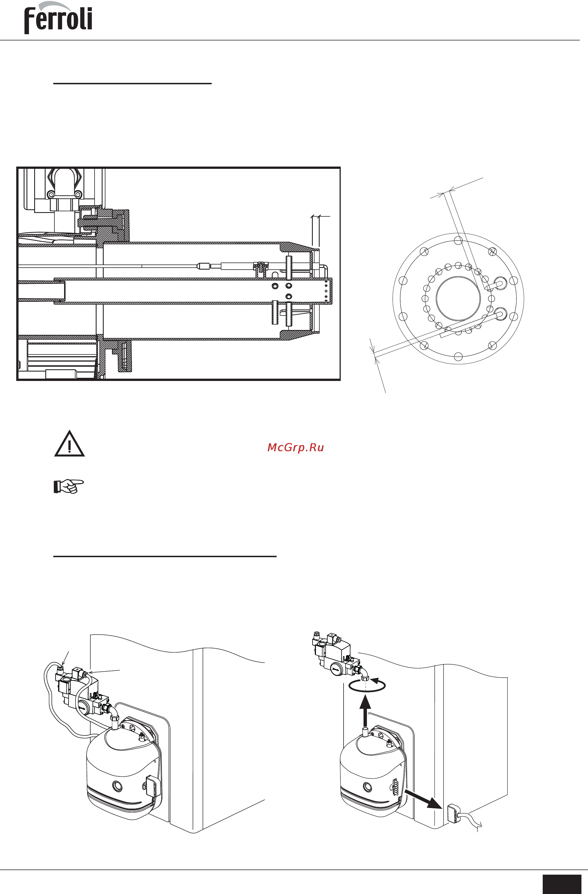 Ferroli SUN M 10 [8/26] Геггон