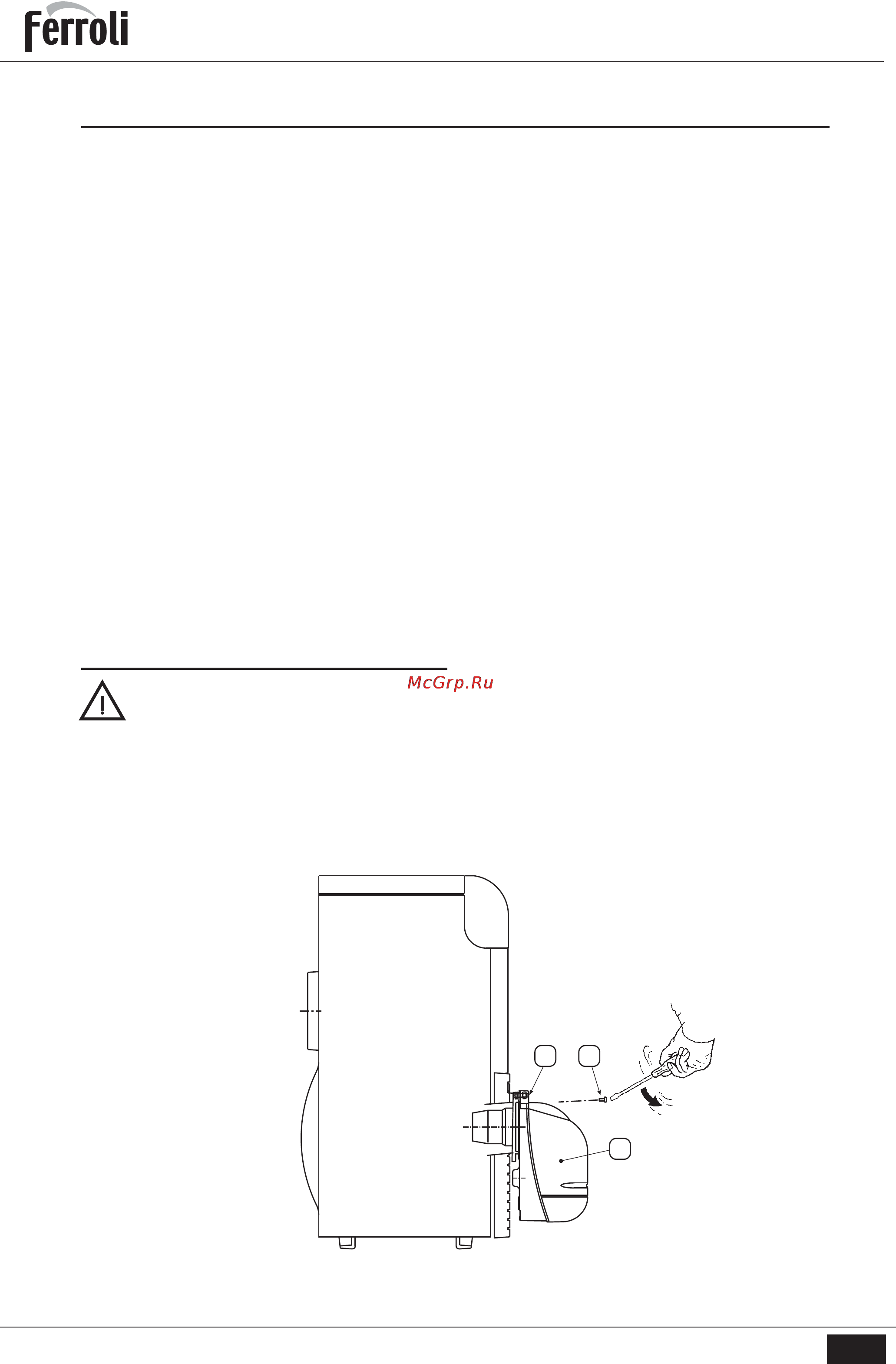 Ferroli SUN G 3 R [11/19] Sun g3 r