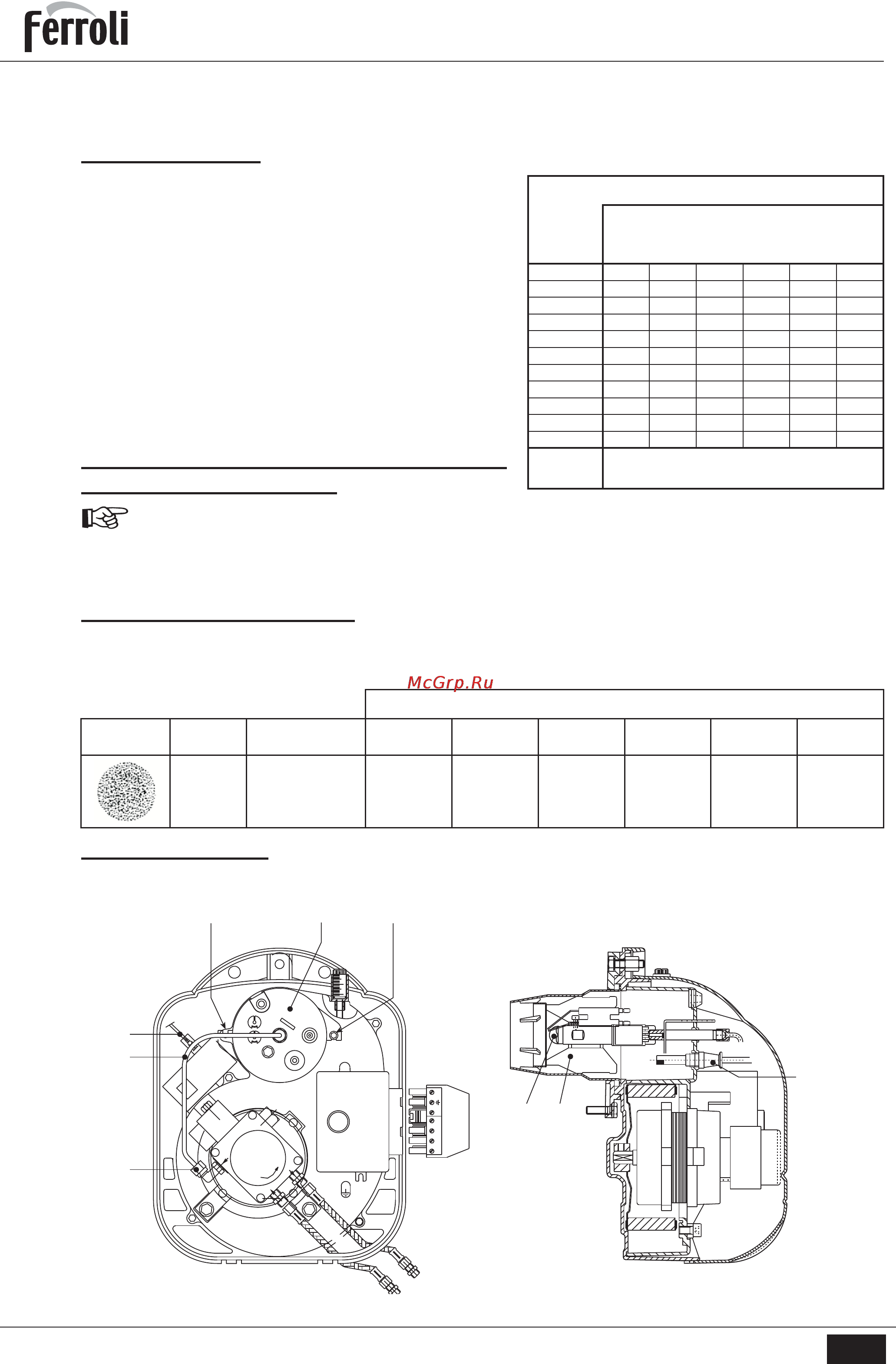 Ferroli SUN G 3 R [7/19] Sun g3 r