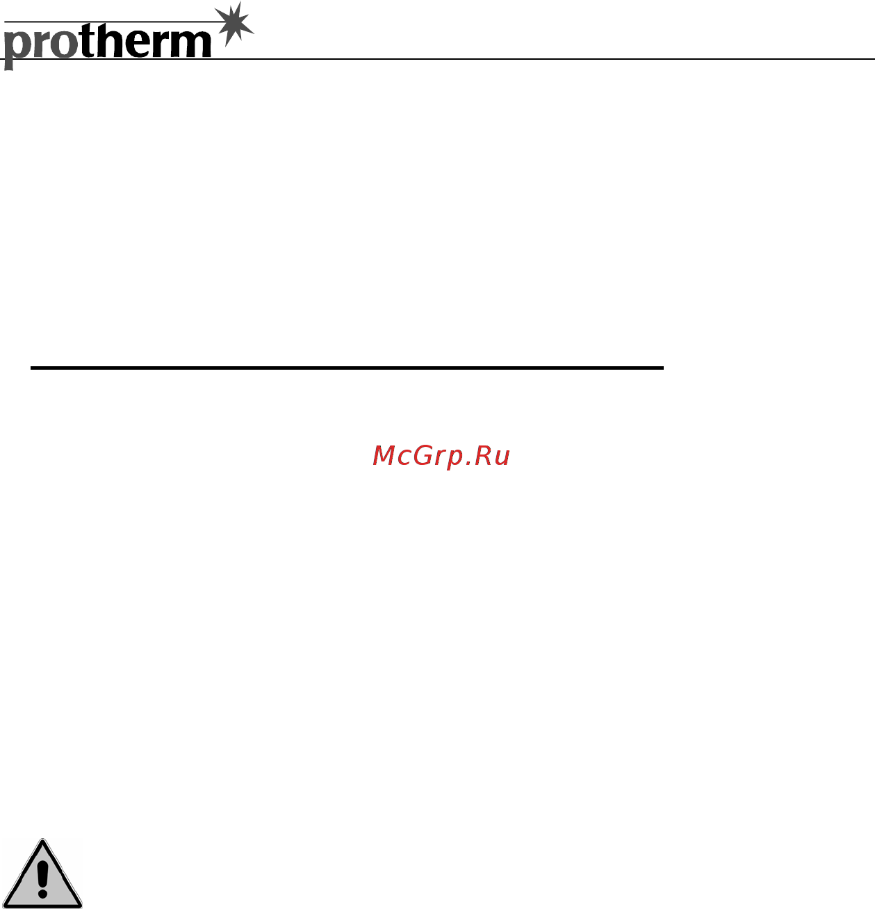 Protherm МЕДВЕДЬ РLO Инструкция по эксплуатации онлайн [39/48] 67074
