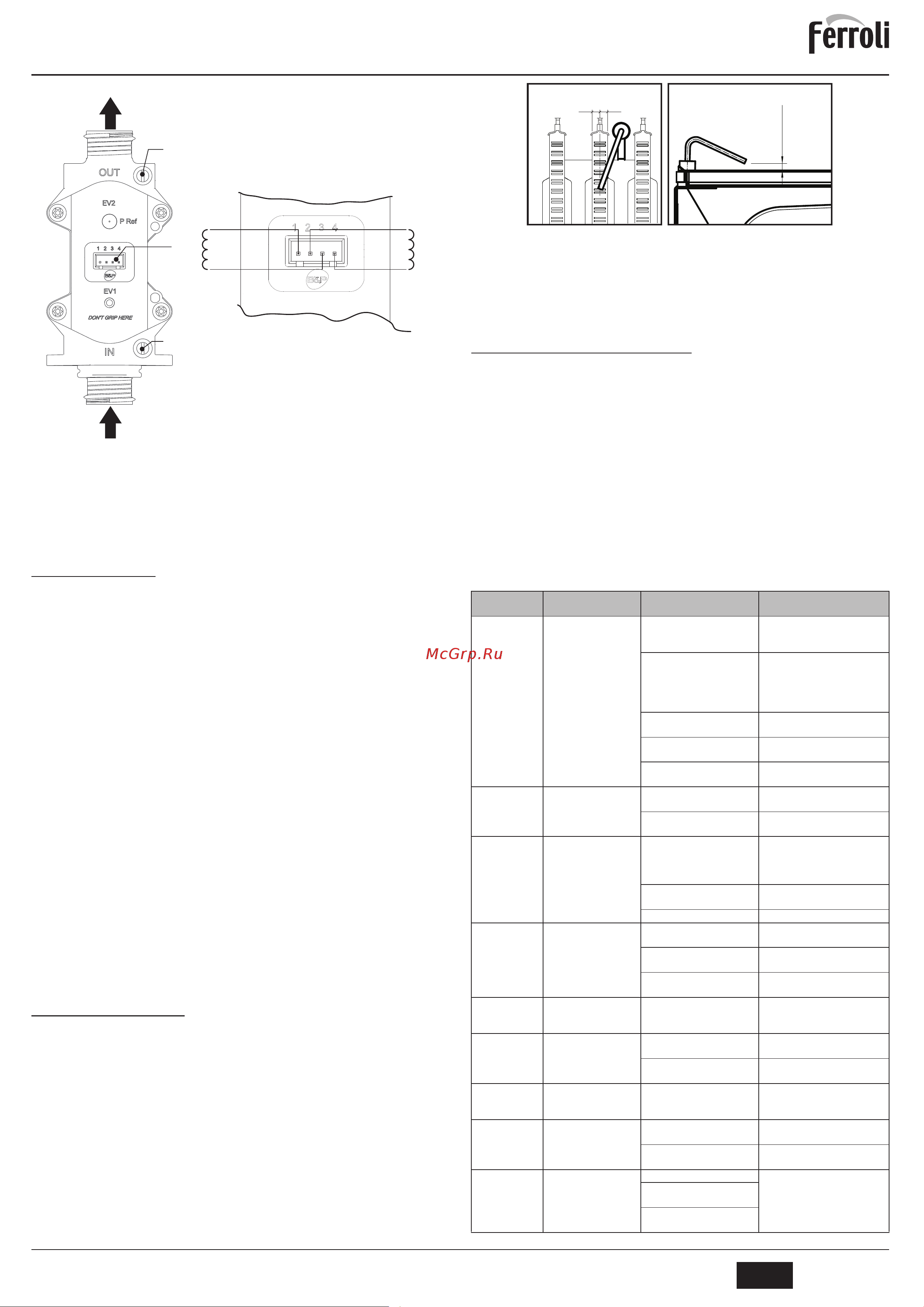 Ferroli DOMITECH D C24/C32 [5/11] Domitech с 24 32 d