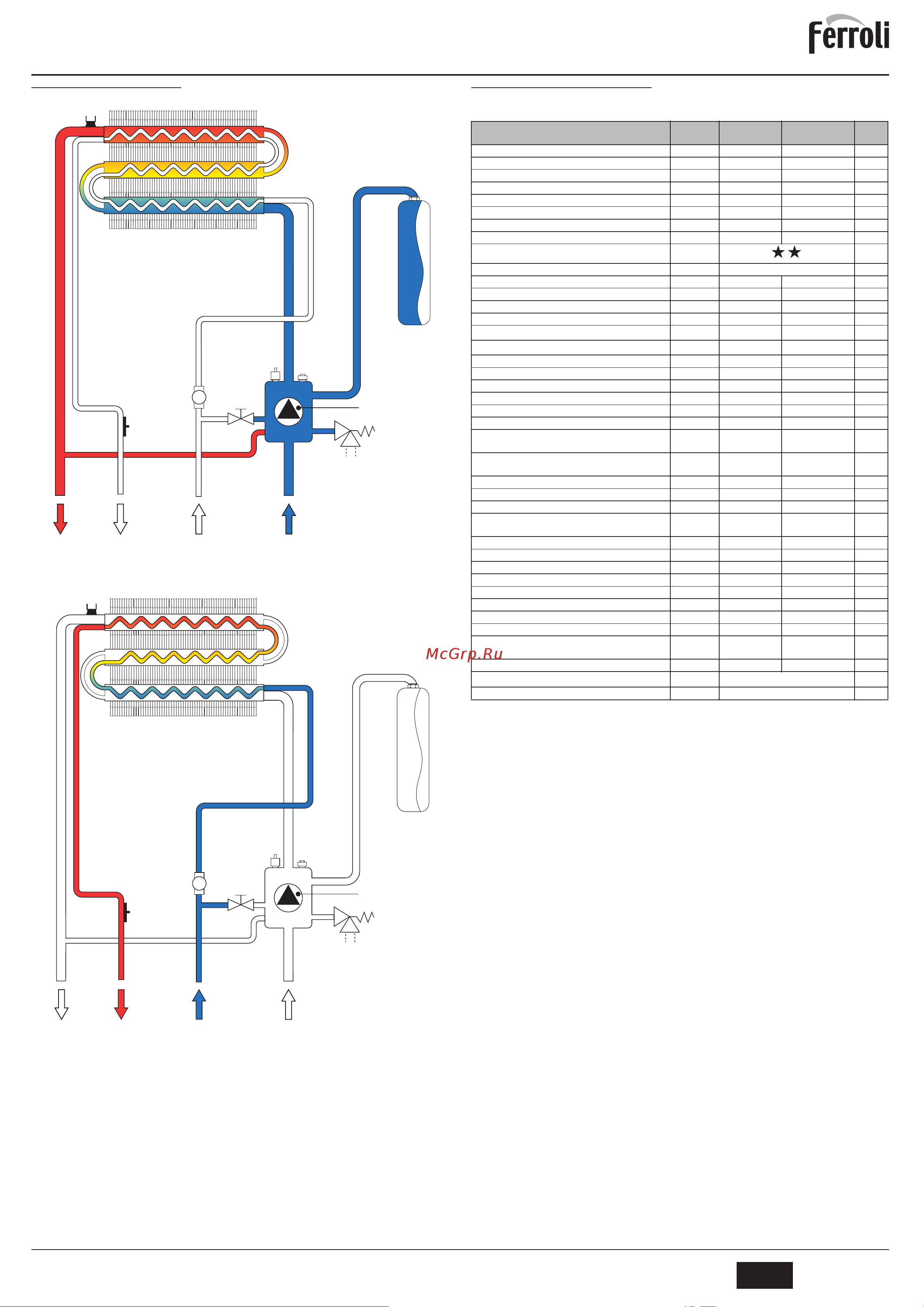 Ferroli DOMITECH D C24/C32 [7/11] Domitech с 24 32 d