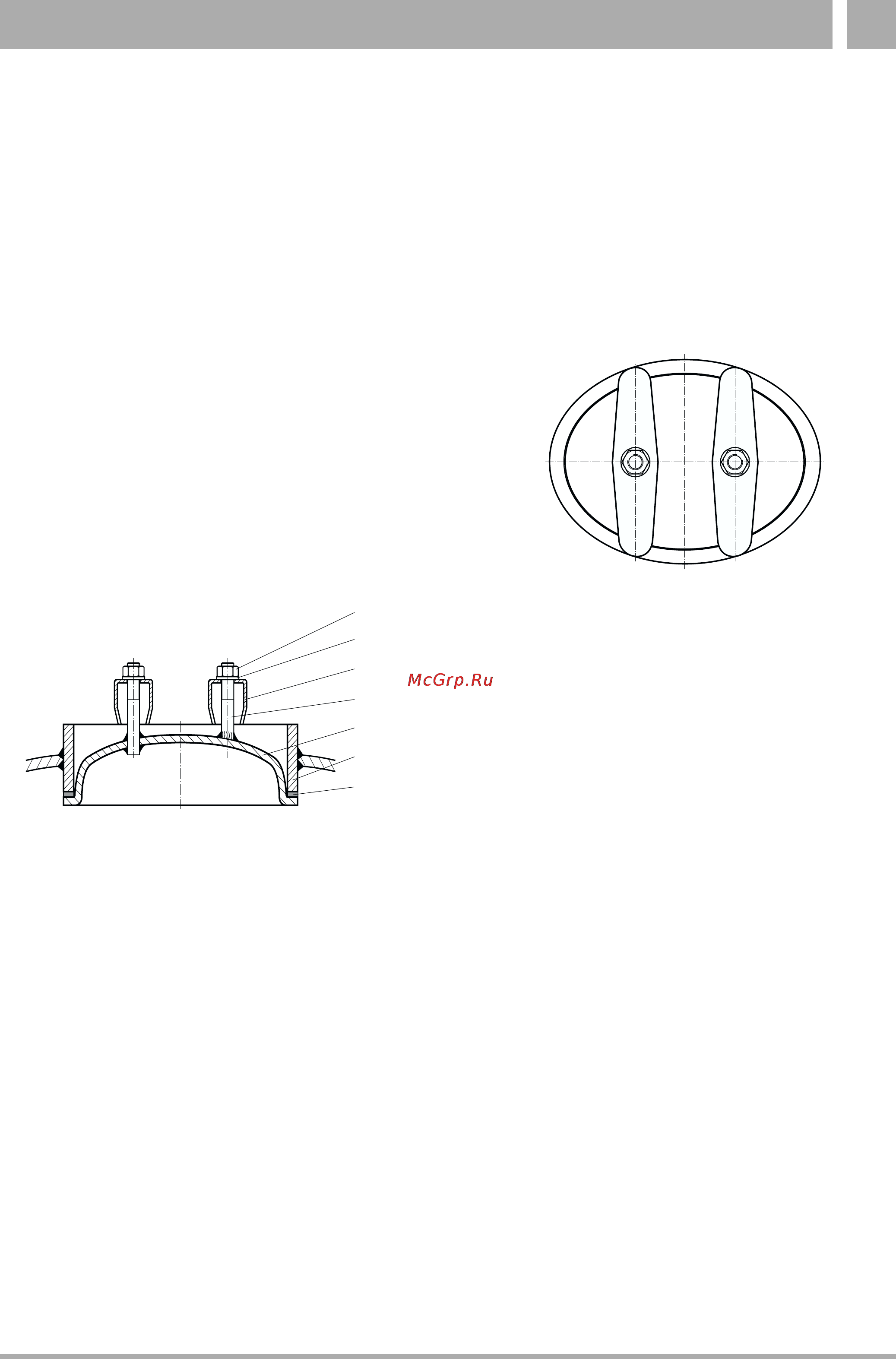Buderus LOGANO PLUS SB825 [35/40] Смотровой люк с уплотнениями b245d