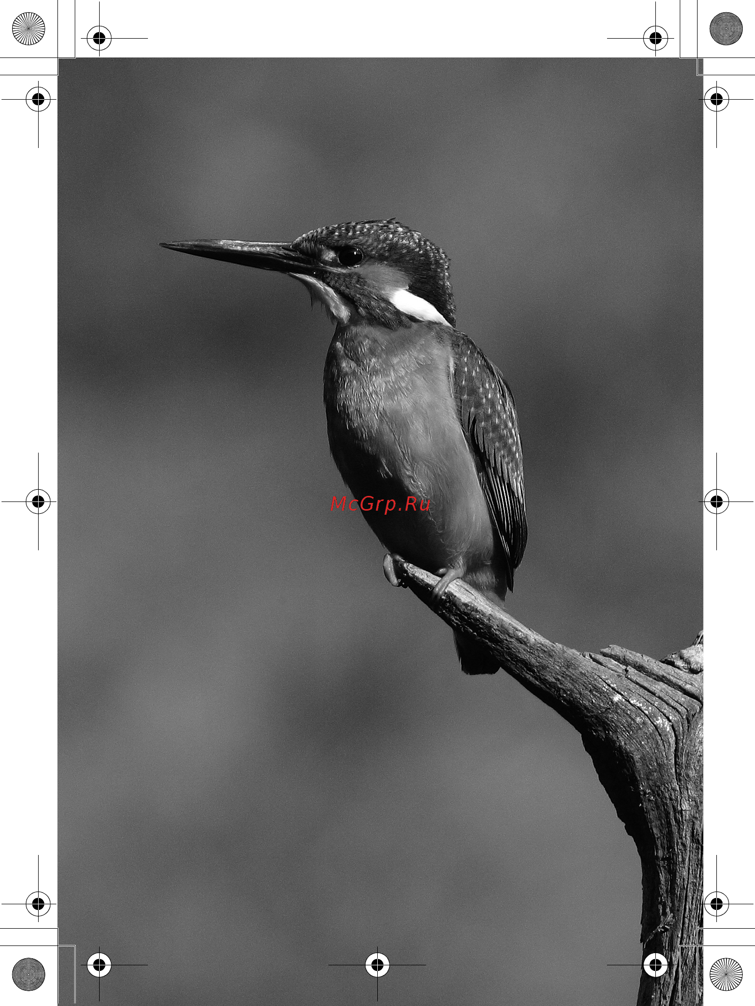 Canon 550D1855DC+75300DC Инструкция по эксплуатации онлайн [222/372] 68277