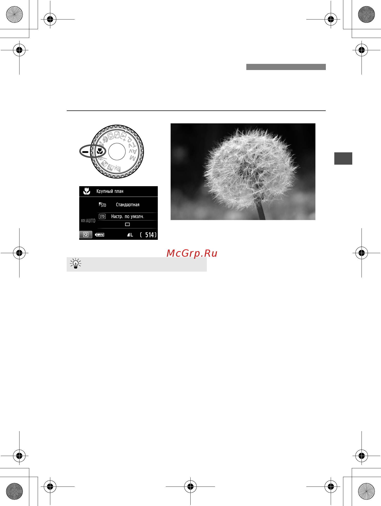 Canon 550D1855DC+75300DC [67/372] Съемка крупным планом