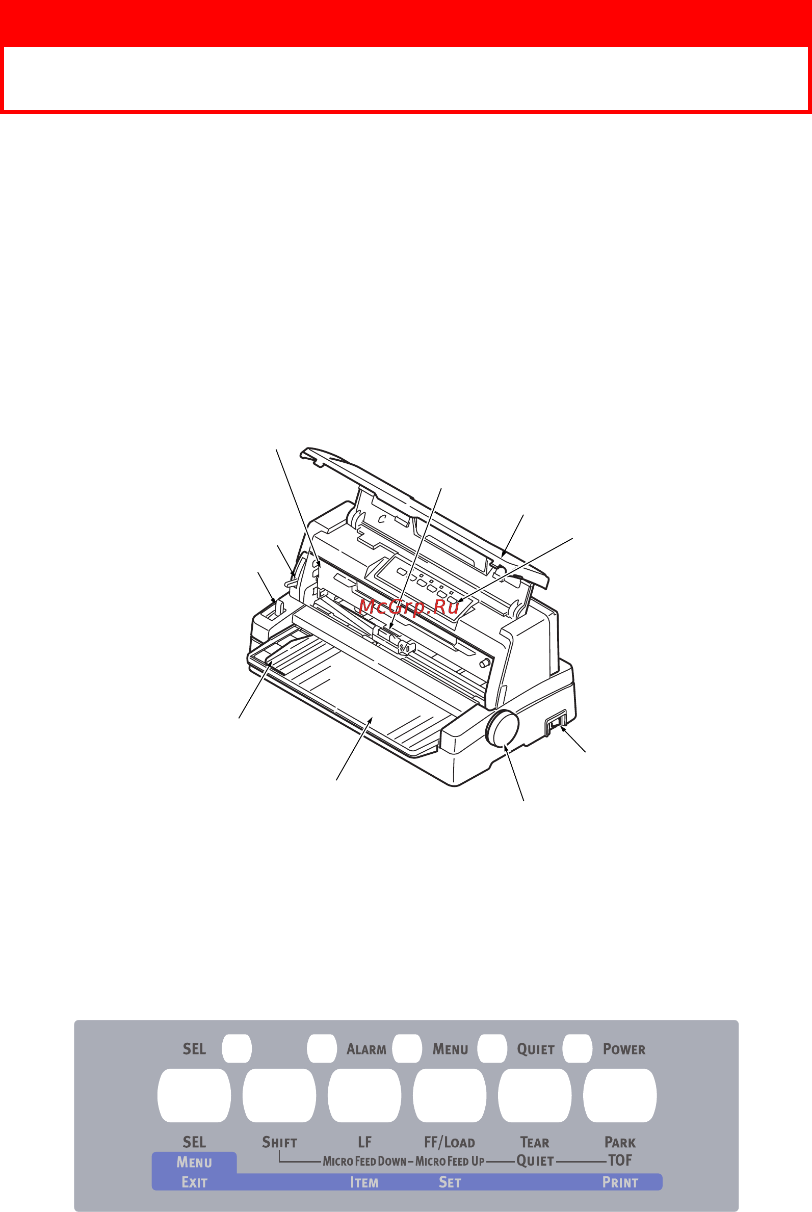 OKI ML6300FB-SC [9/54] Начало работы