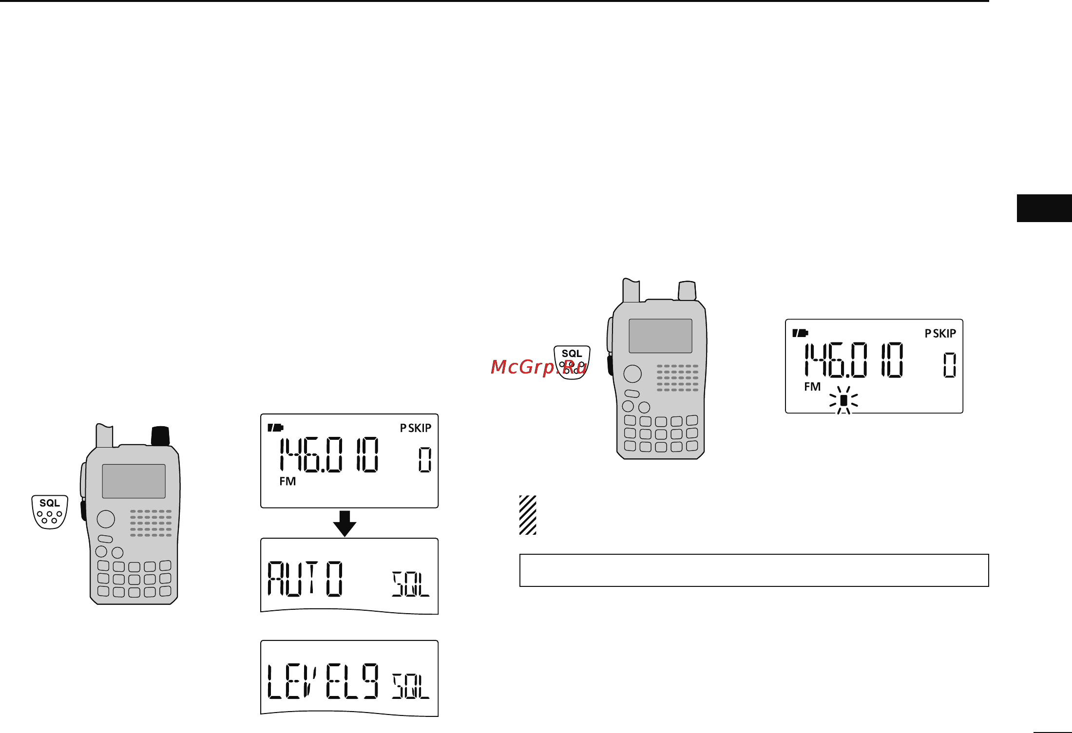 Icom IC-80AD [25/188] Monitor function