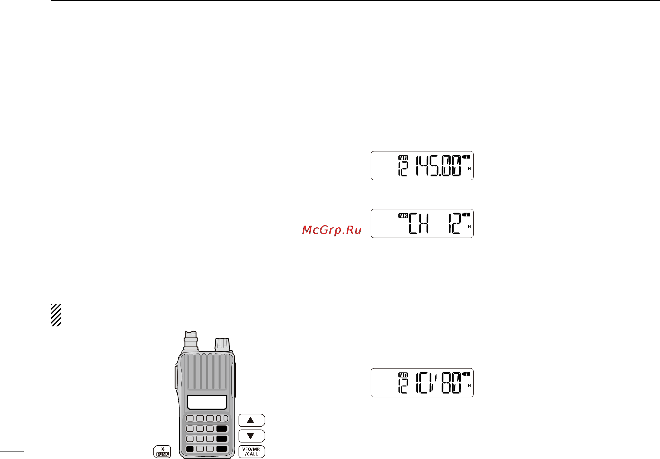Icom IC-V80 [34/64] Display type