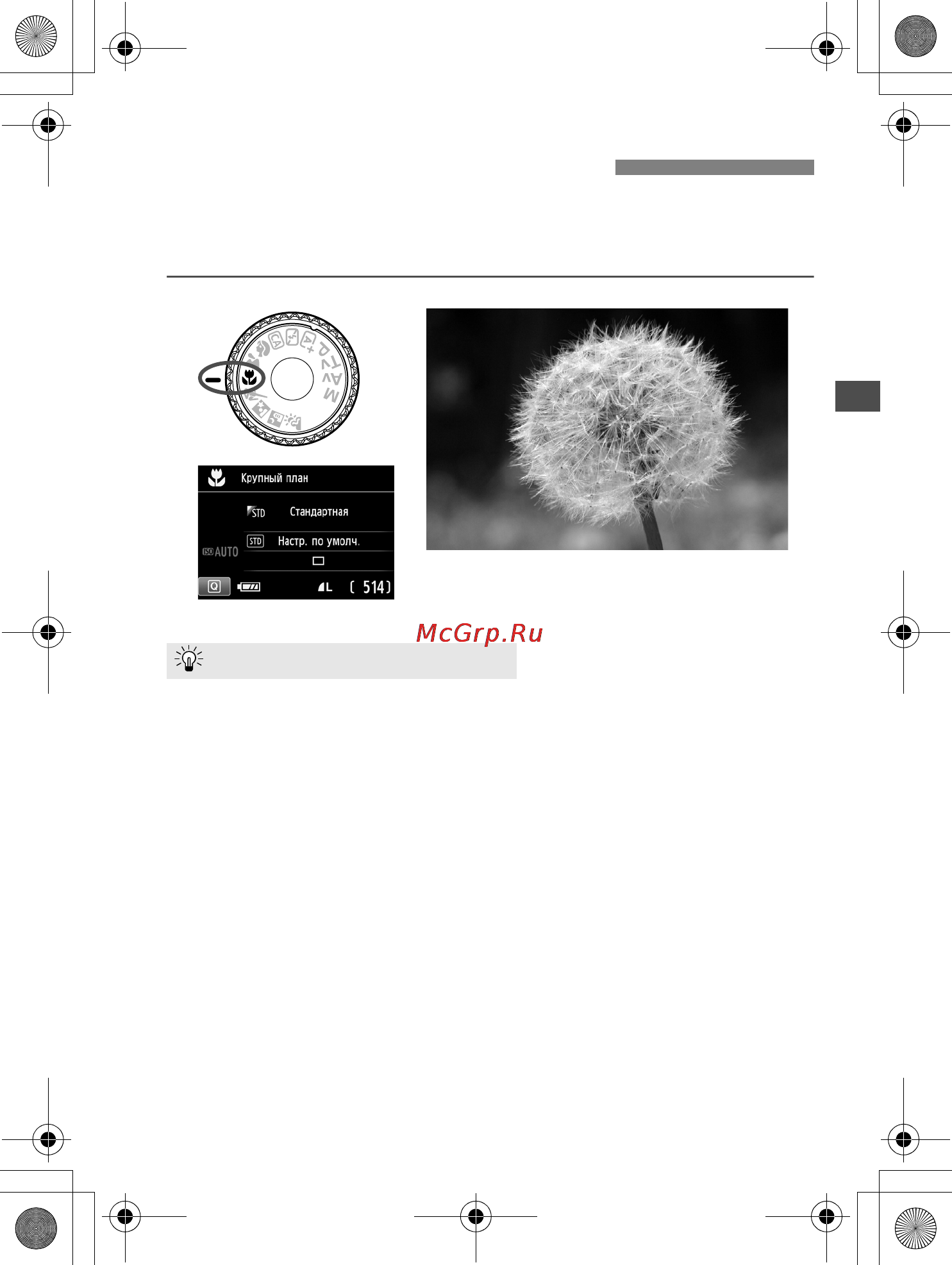 Canon 650D Body [67/372] Съемка крупным планом
