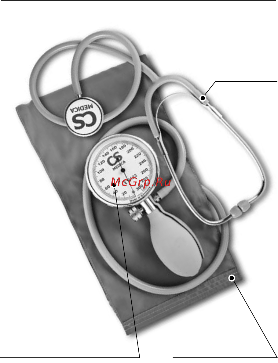 Cs Medica CS-110 Premium [5/20] Составные части прибора