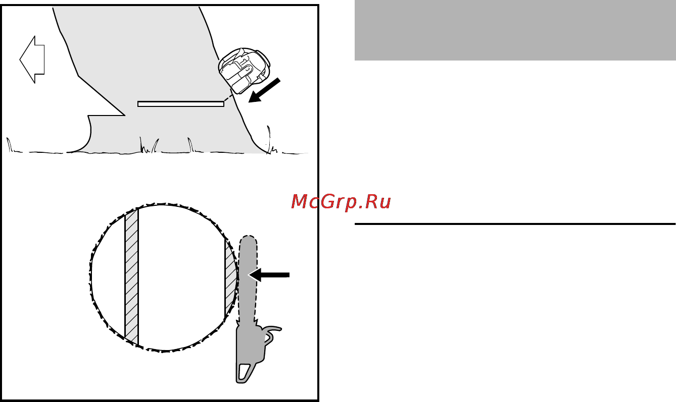 Stihl MSA 160 C-BQ [277/524] Описання роботи