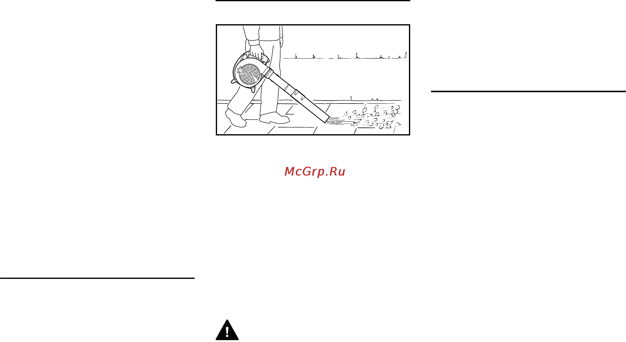 Stihl BG 56 Инструкция по эксплуатации онлайн [7/36] 70941